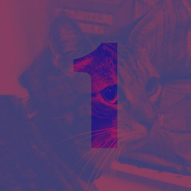 1 DAY! It's going down tomorrow. Come to The New School 6 East 16th street New York NY 10003 3pm - 6pm for &quot;Welcome to Bodegaverse&quot;. Meet brands and creatives @blactina, @fromthebronx, @thebronxbrand, @kaylovebx, and @nocarnelifestyle. Then