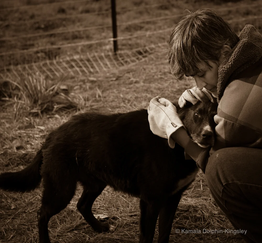 IMG_9349-1 copy.jpg