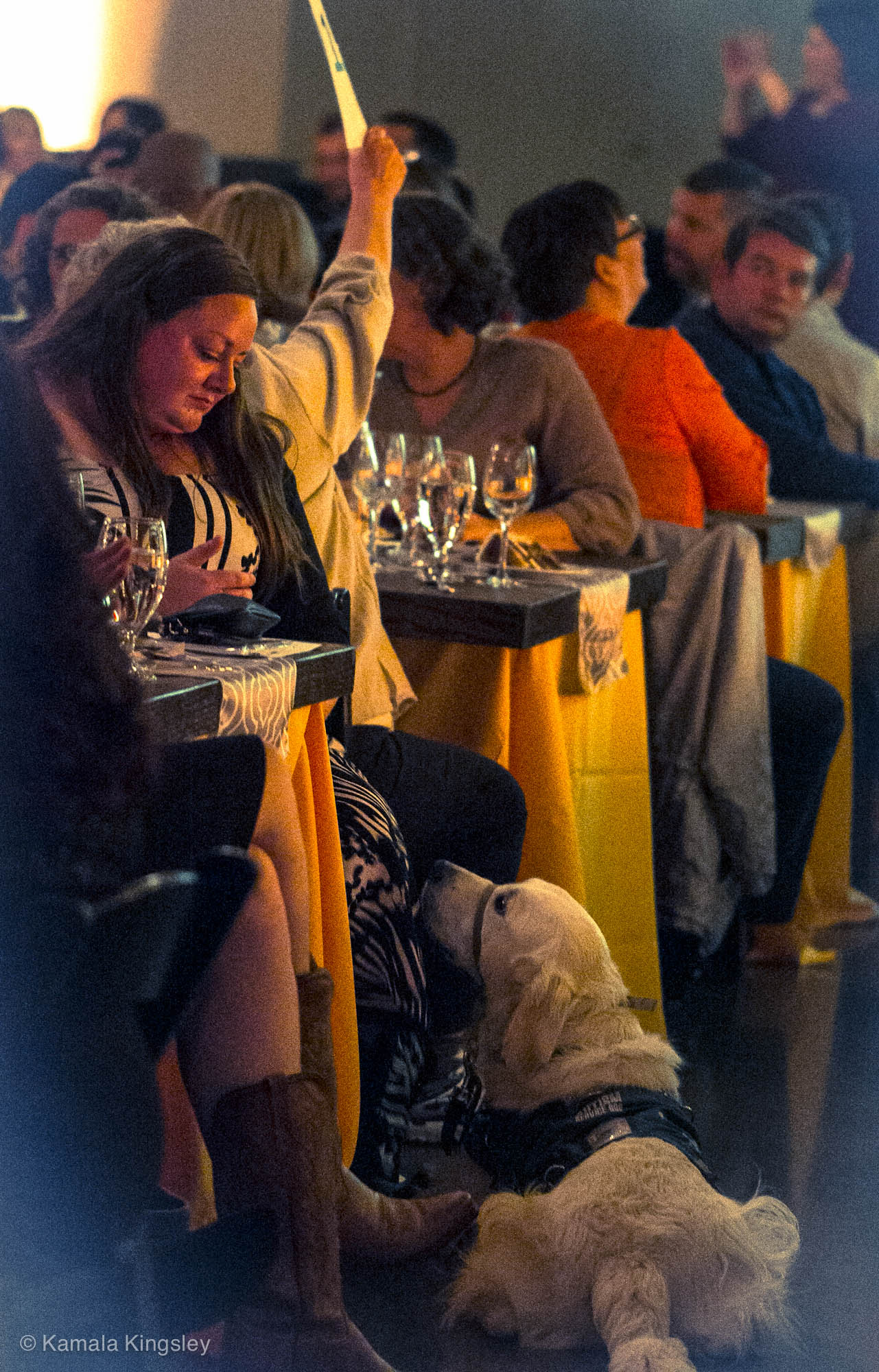 IMG_3433-Edit-1.jpg