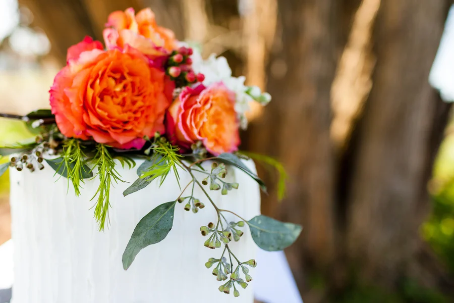 __Heather_Cherie_Photography_springeditorial021_low.jpg