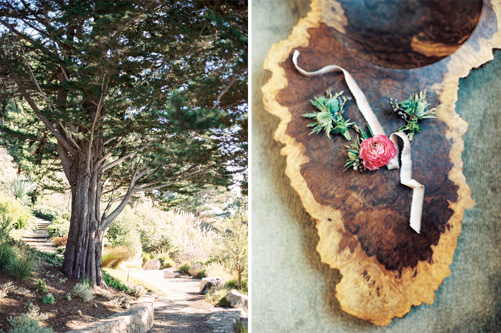 BIG-SUR-WEDDING-1.jpg