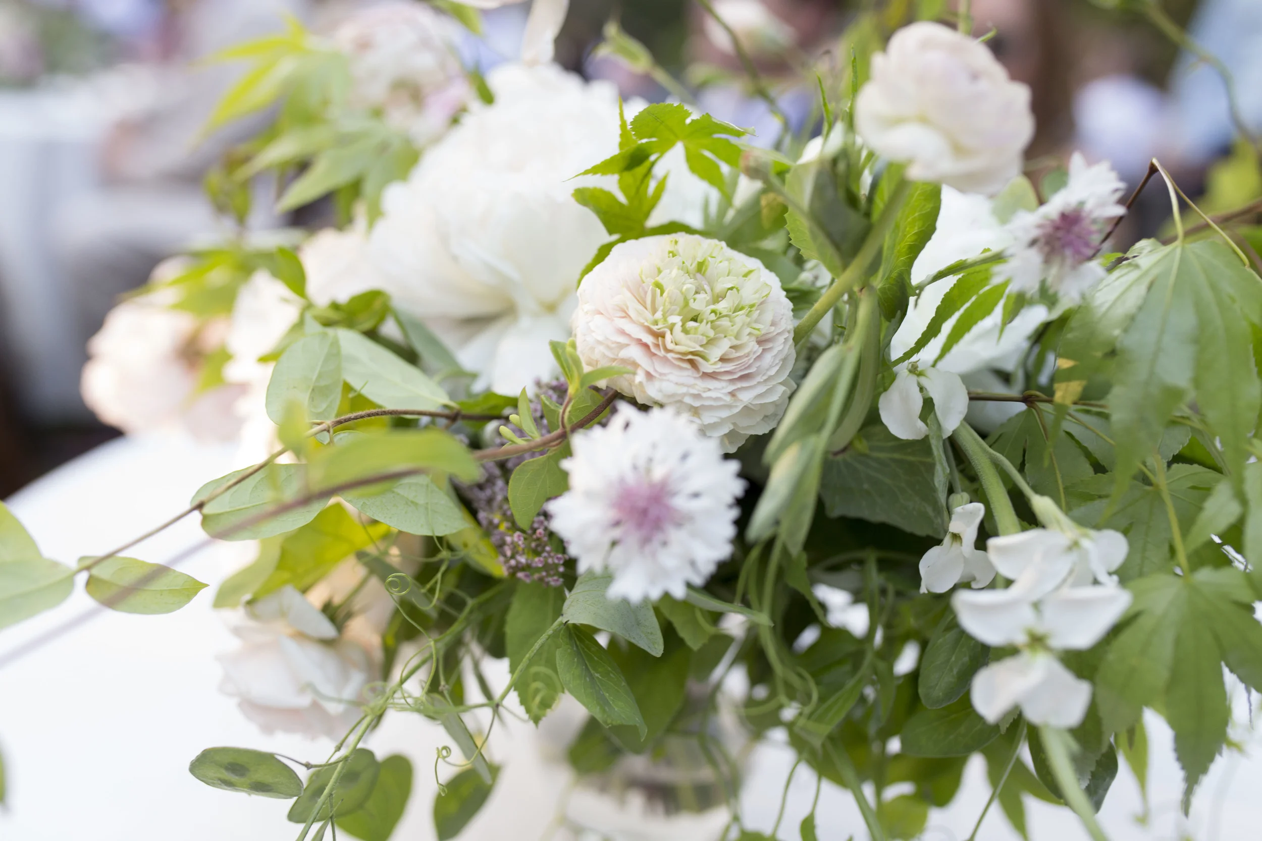   Page Perrault Photography  