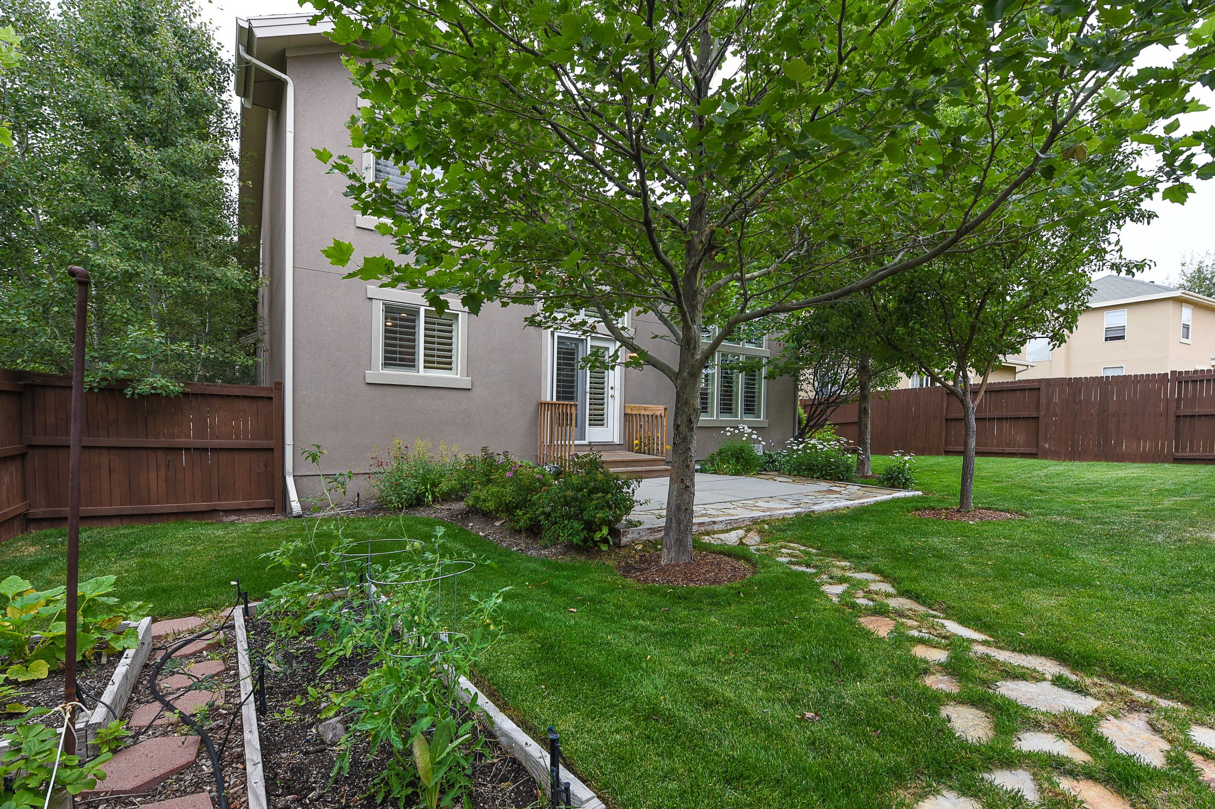 backyard2.jpg