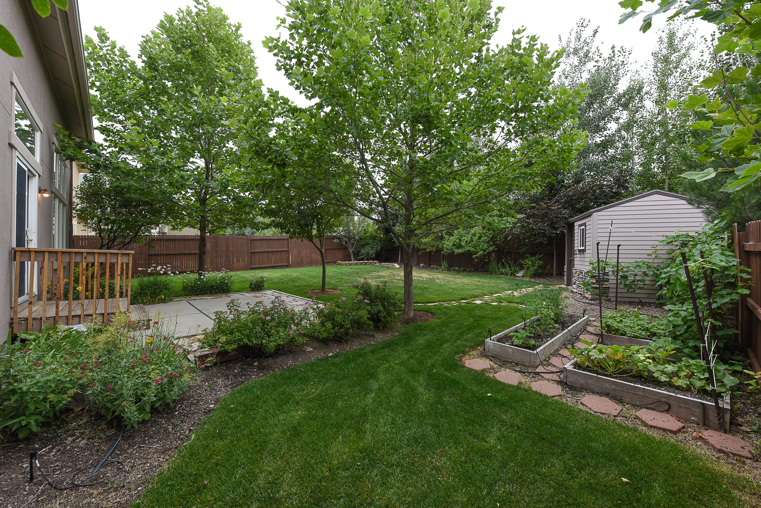 backyard4.jpg