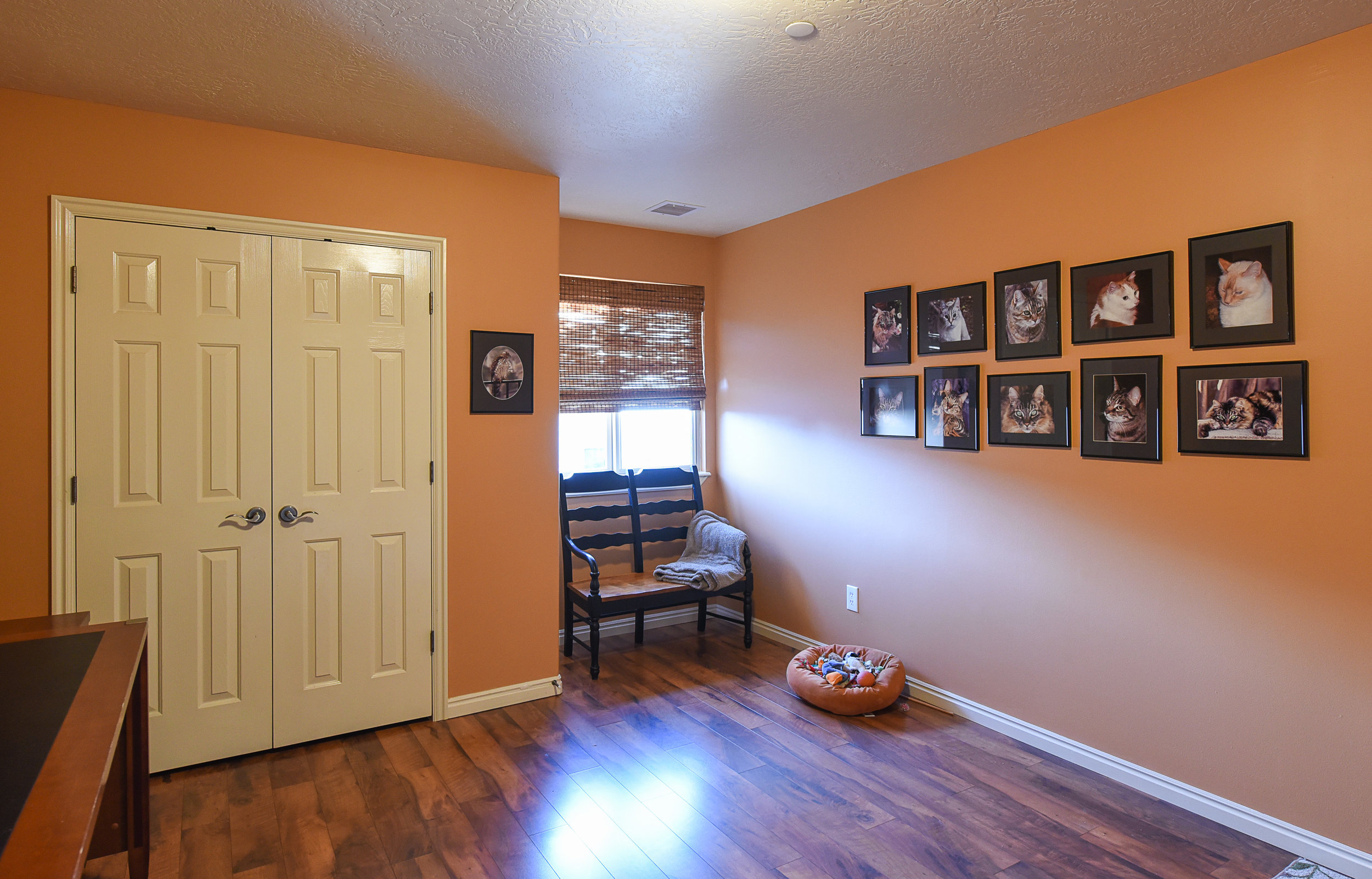 Cat bedroom.jpg
