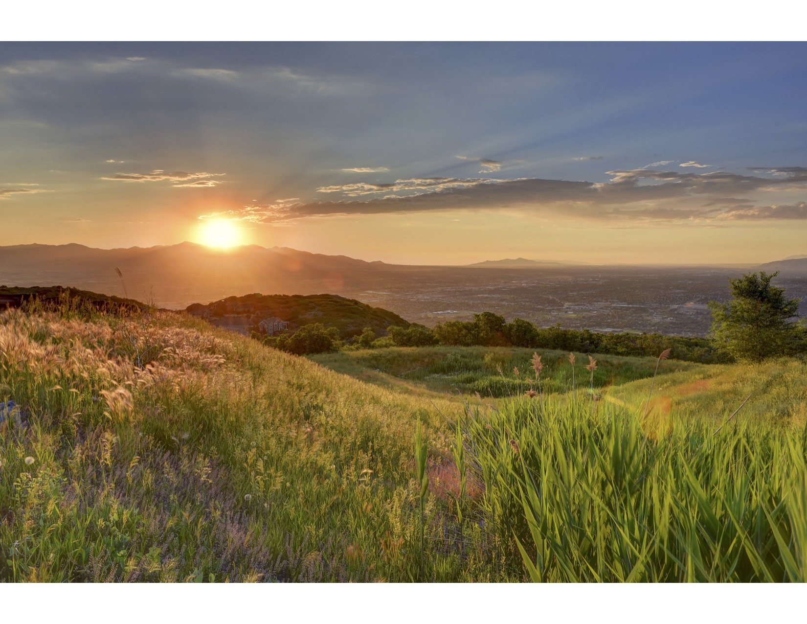 Suncrest Sunset.jpg