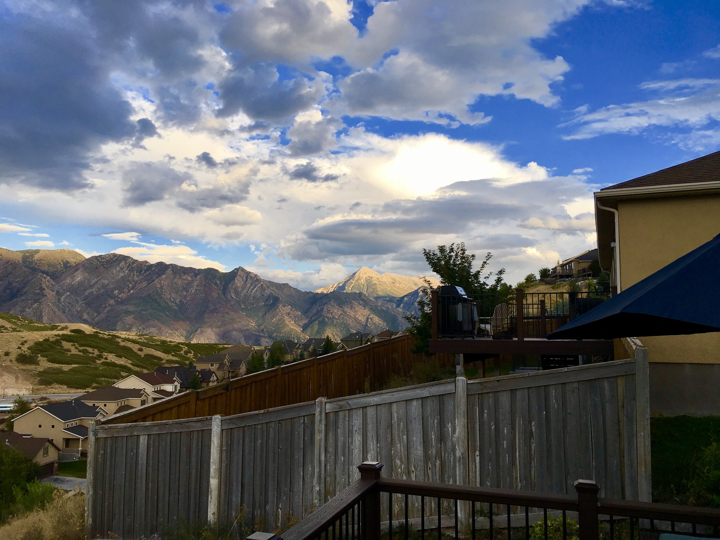 Timp1.jpg
