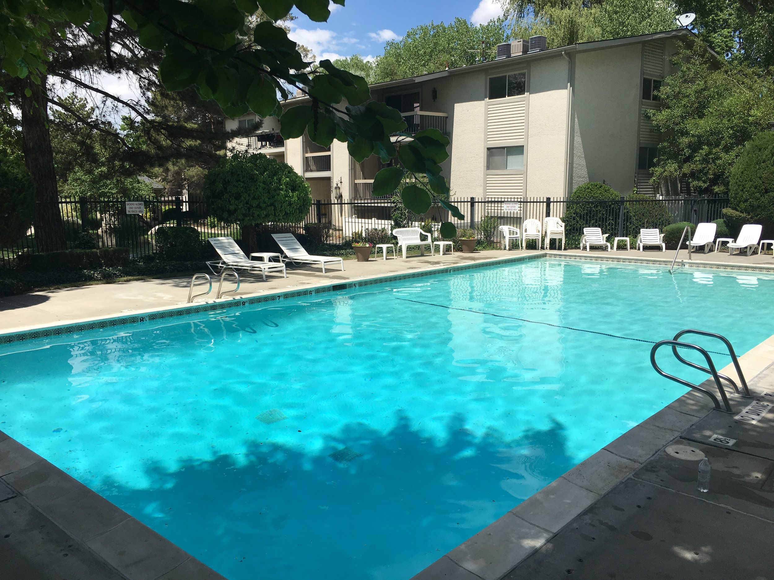Pool1.jpg
