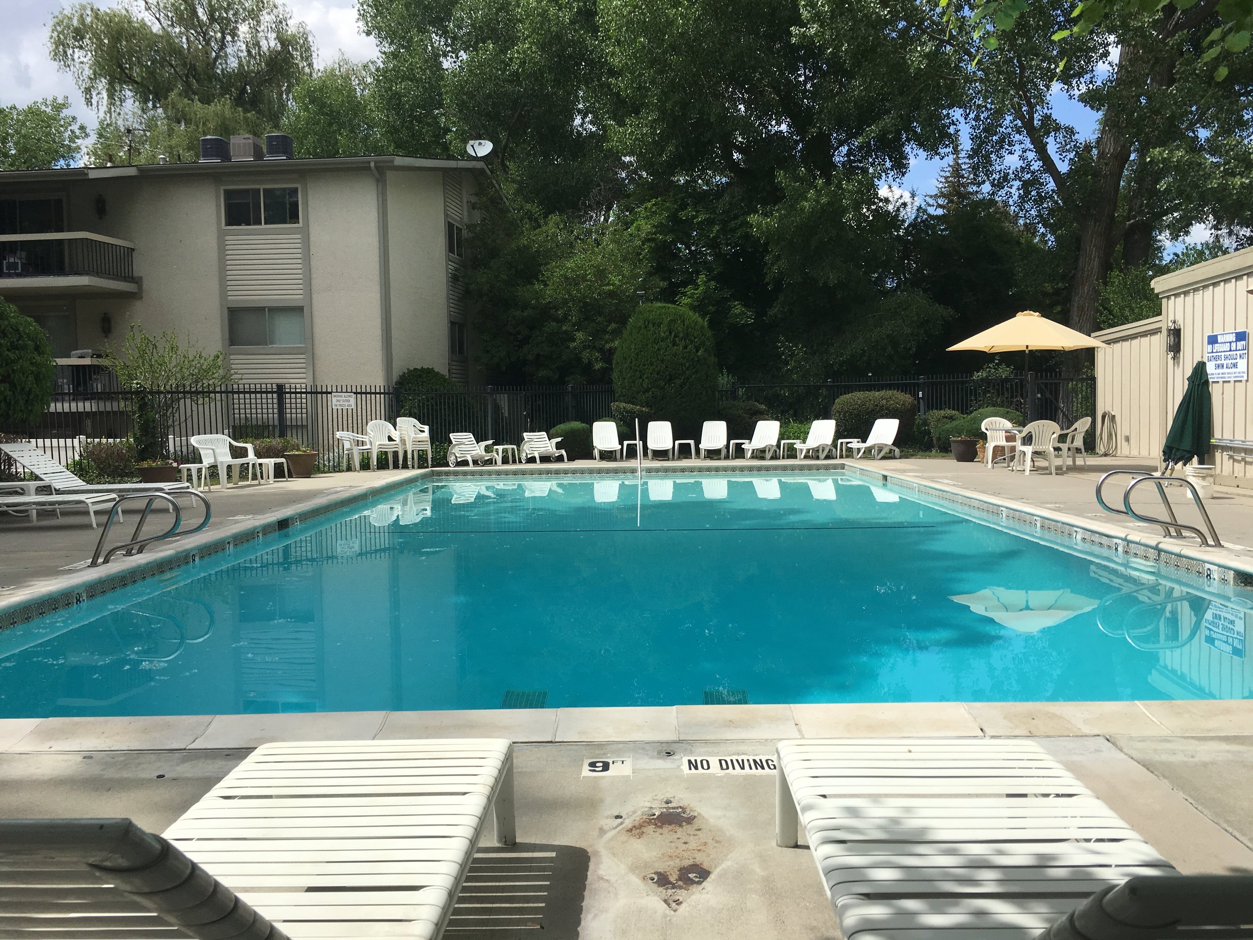 Pool2.jpg