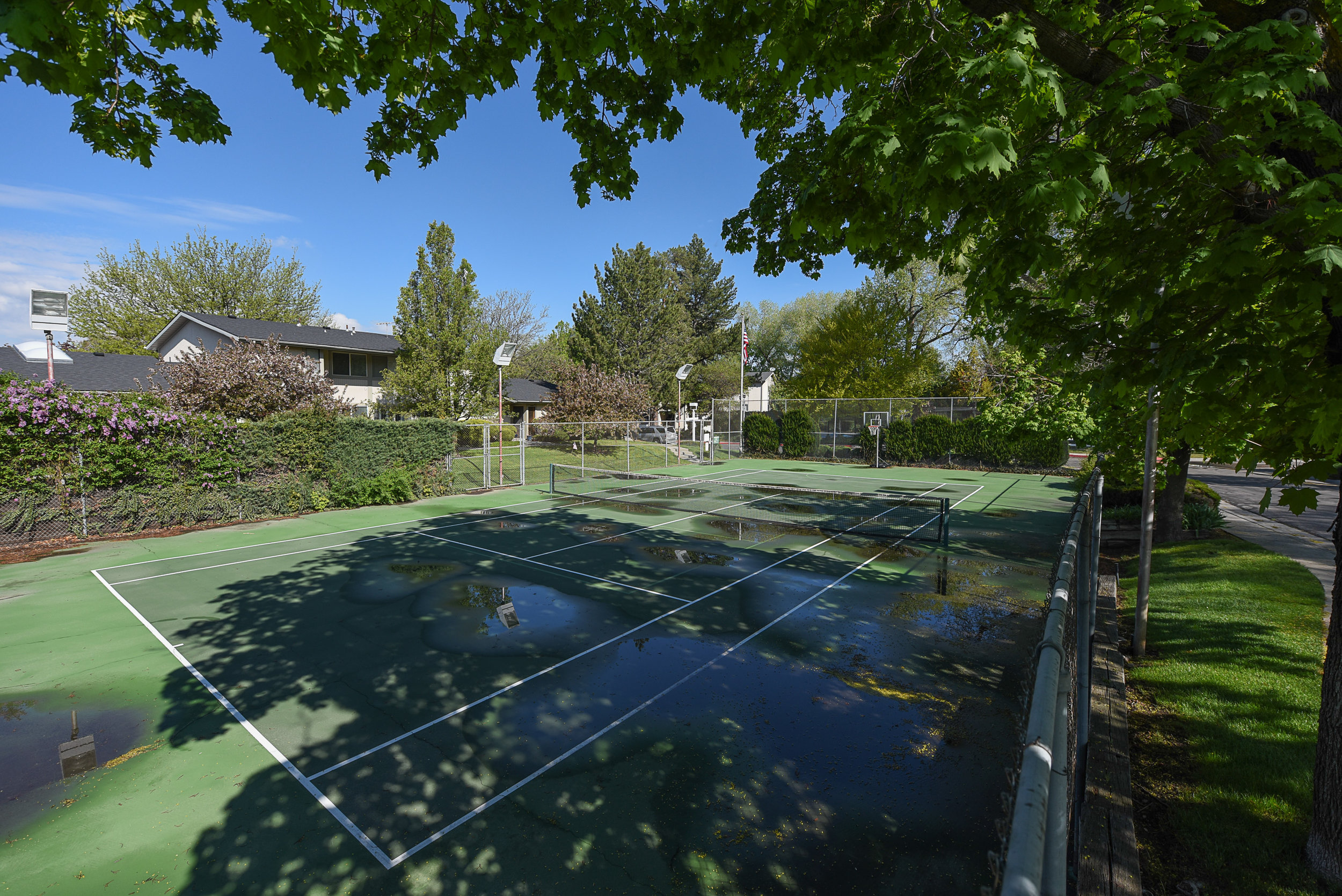 tennis2.jpg