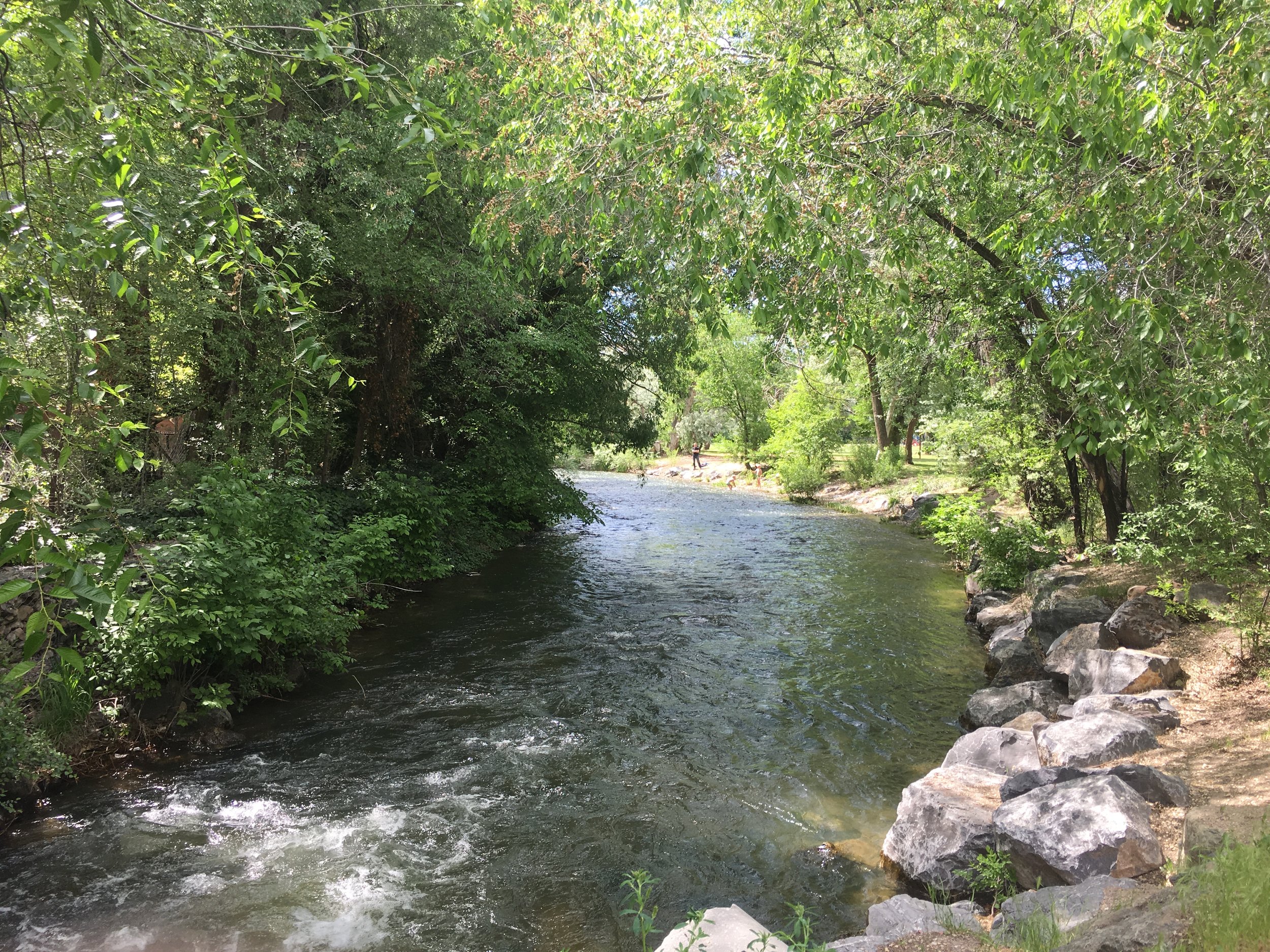 stream1.jpg
