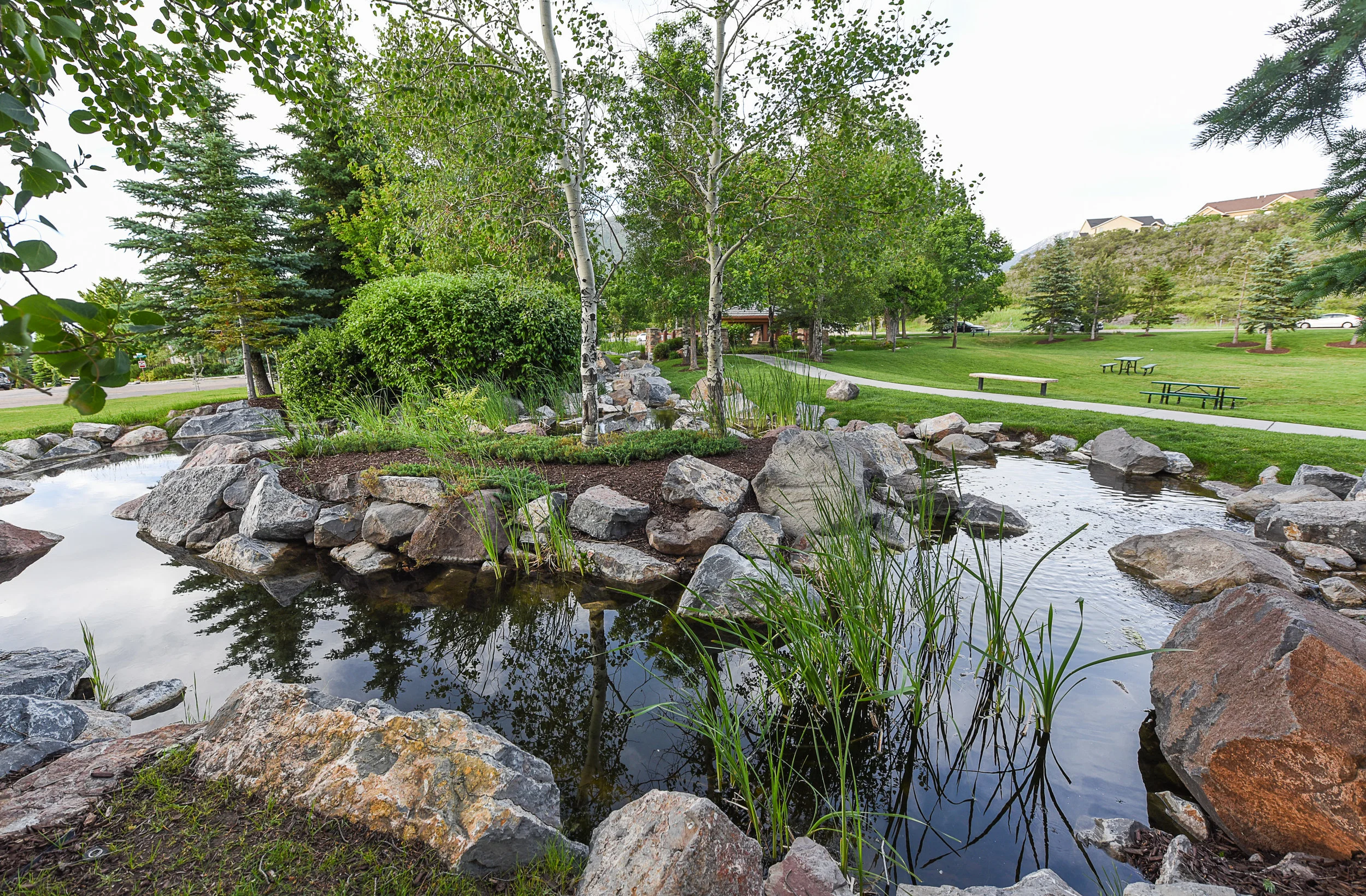 pond-1.jpg