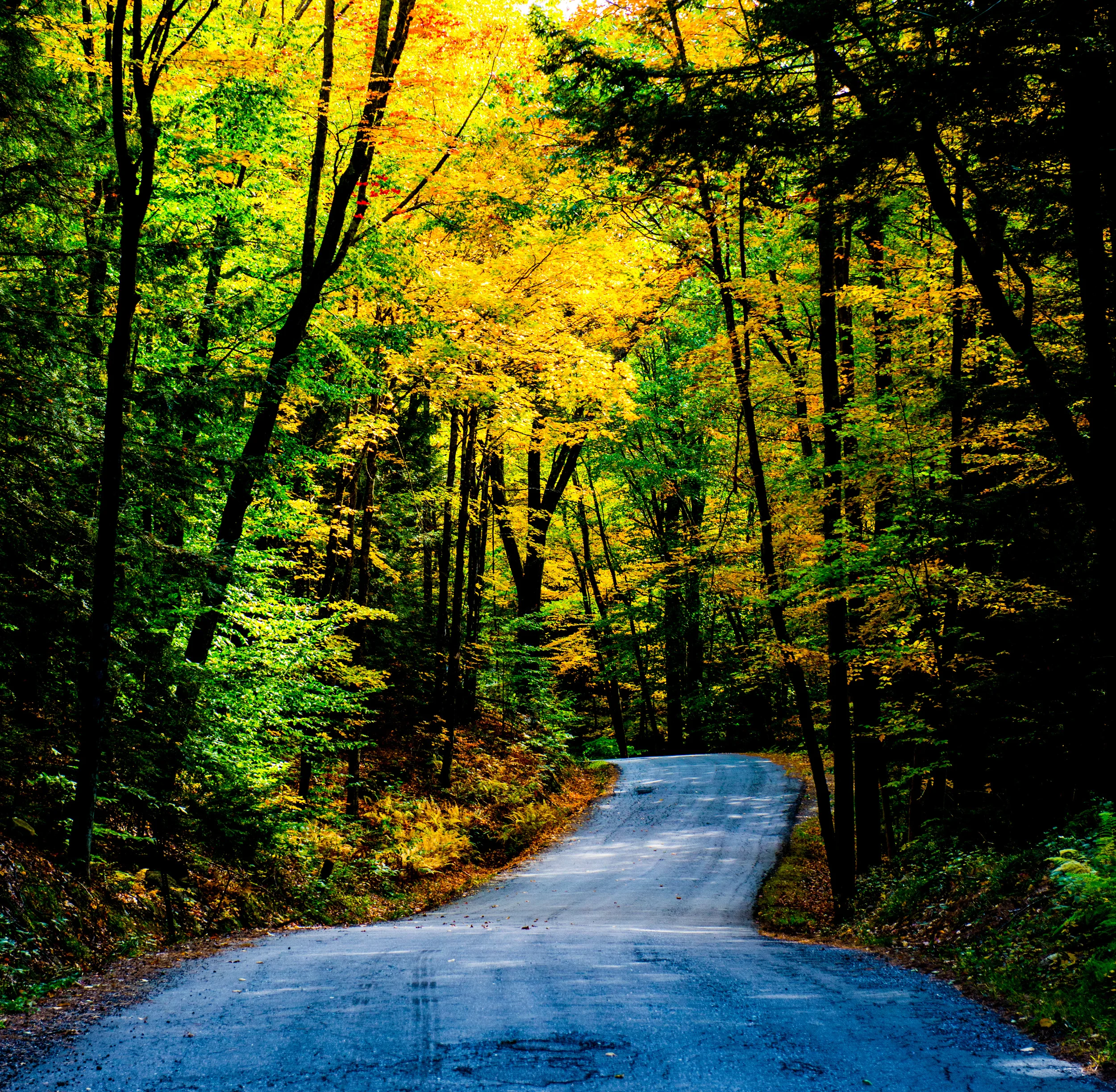 2013-10-01 NEW_ENGLAND_WEB-2586.jpg