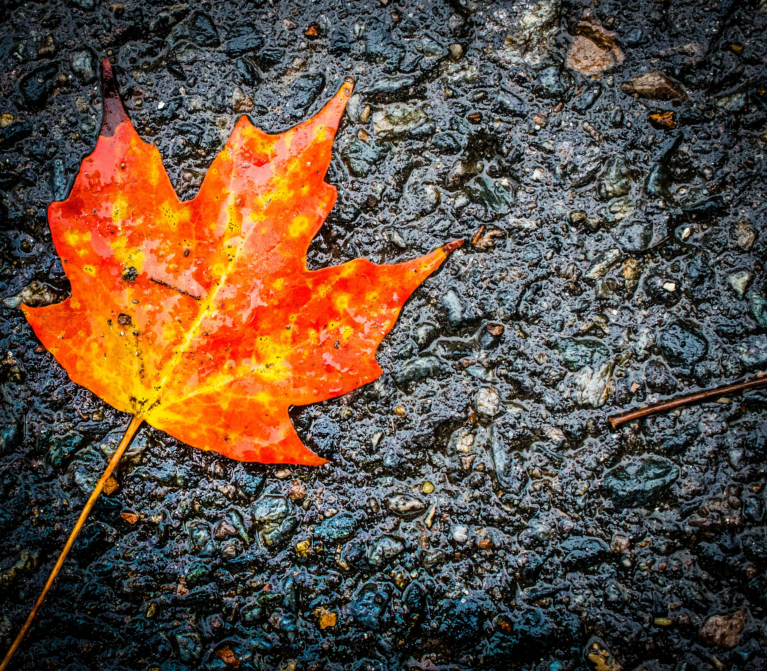 2013-10-01 NEW_ENGLAND_WEB-3277.jpg