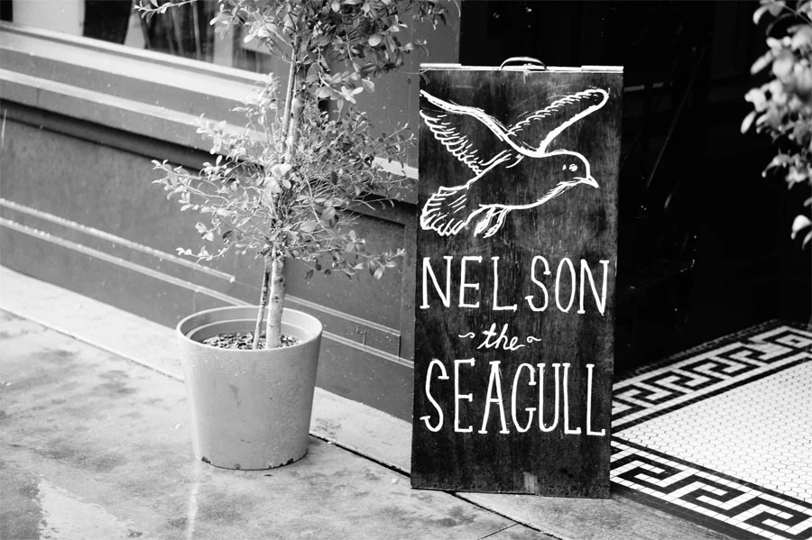 nelsontheseagull08.jpg
