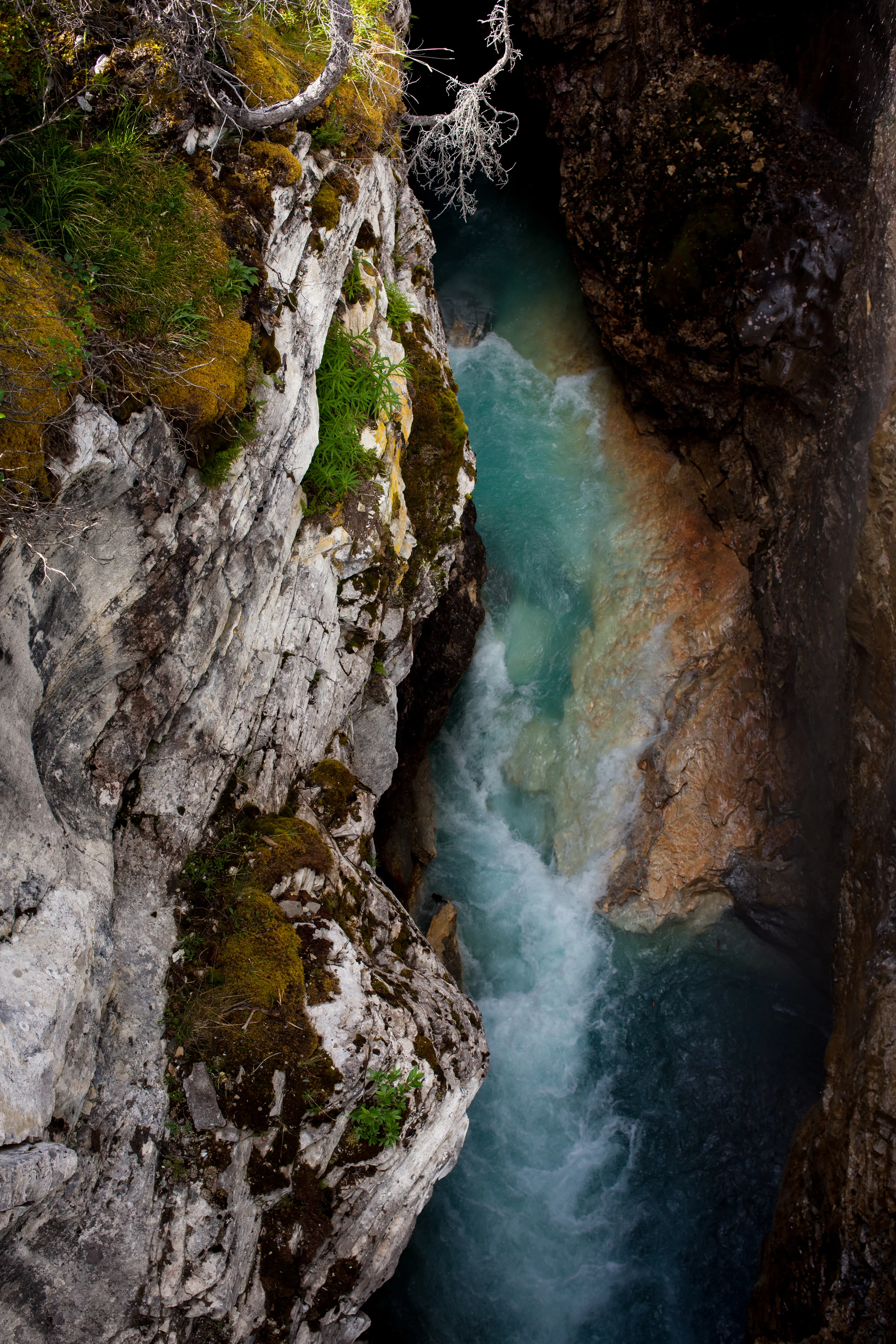 _MG_9817.jpg