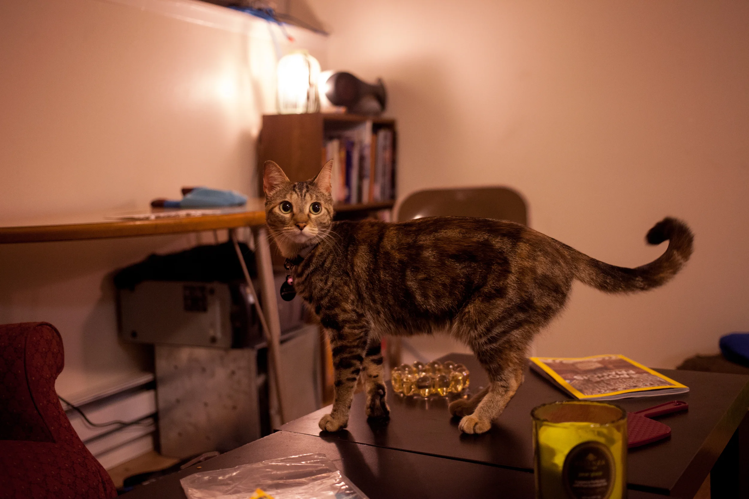 20150808-8800.jpg