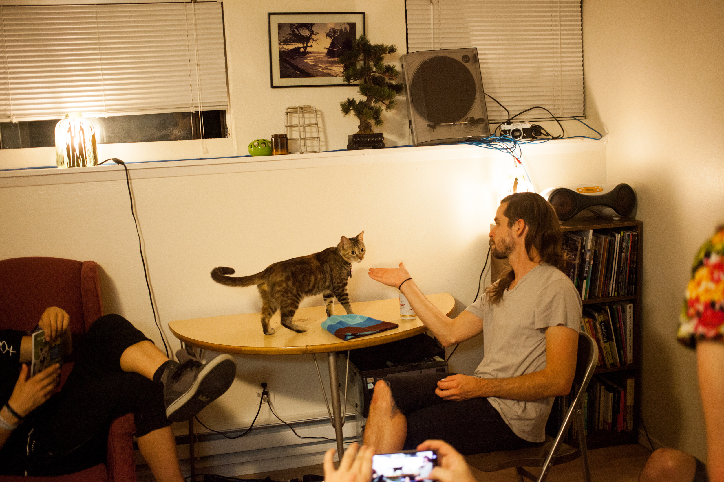 20150808-8782.jpg
