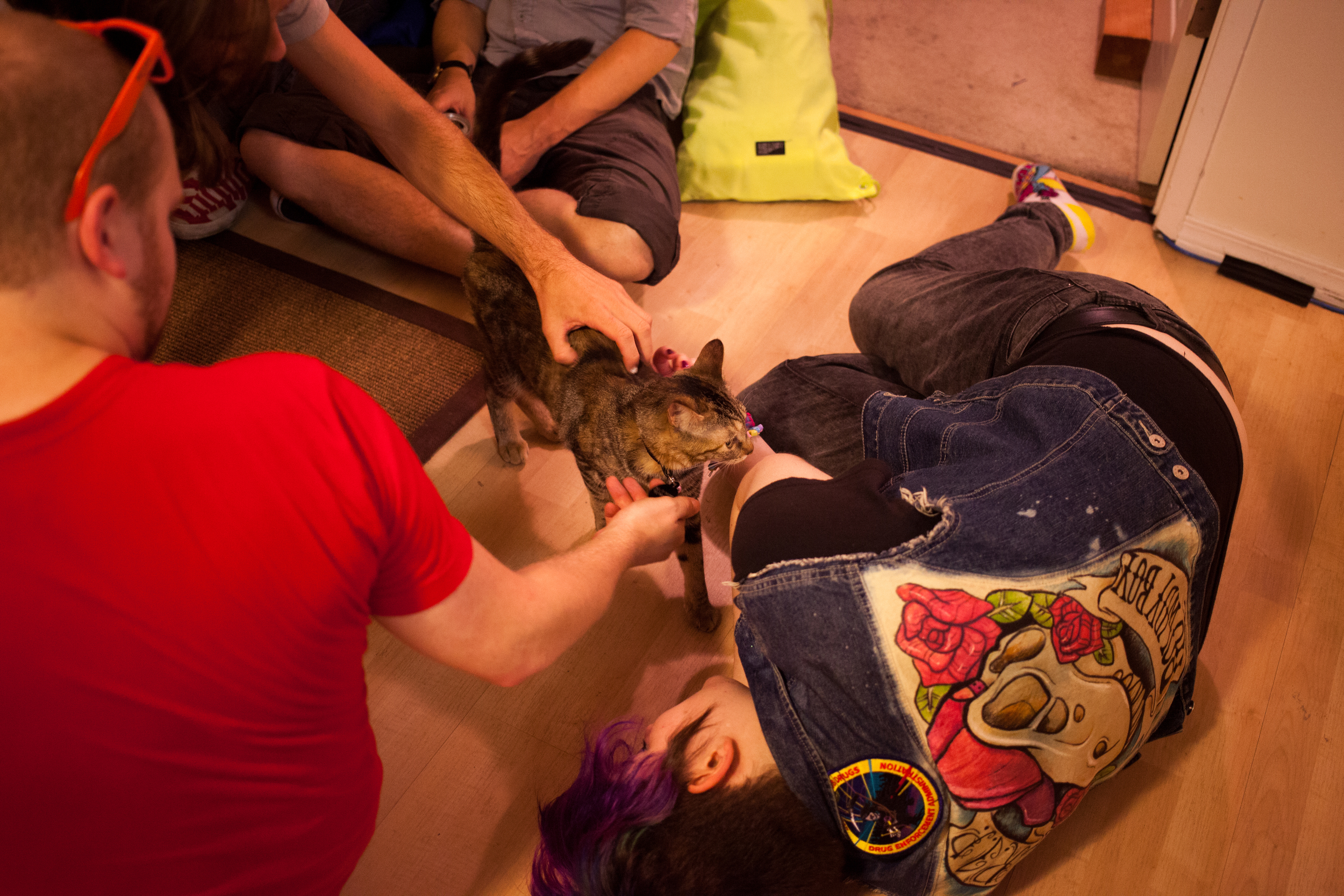 20150808-8793.jpg