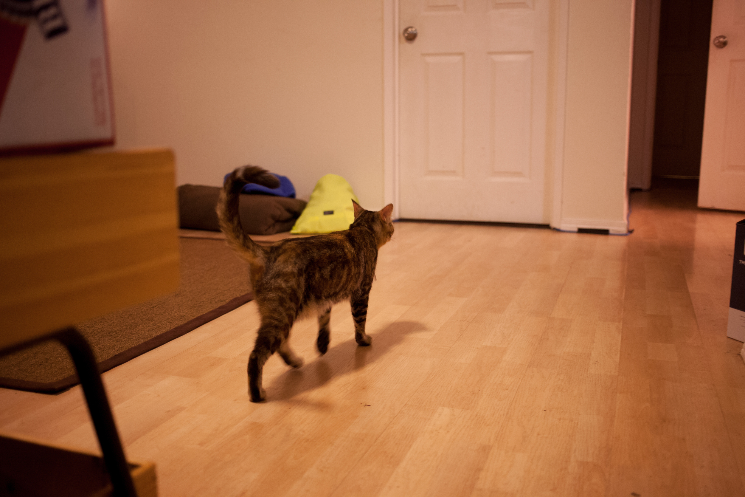 20150808-8796.jpg