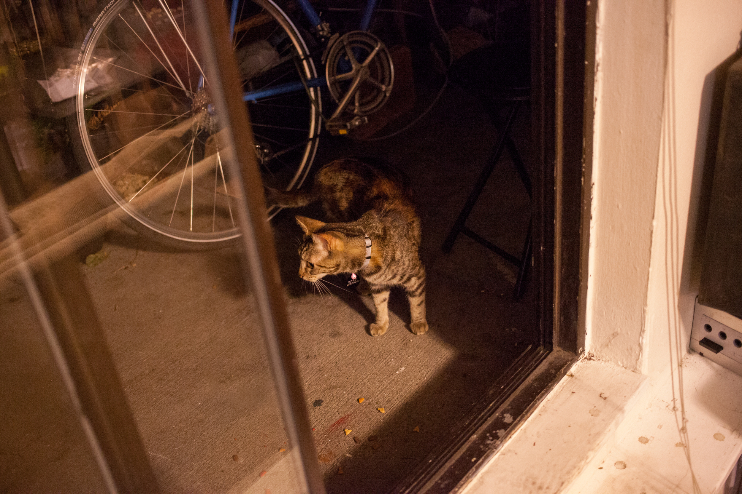 20150808-8807.jpg