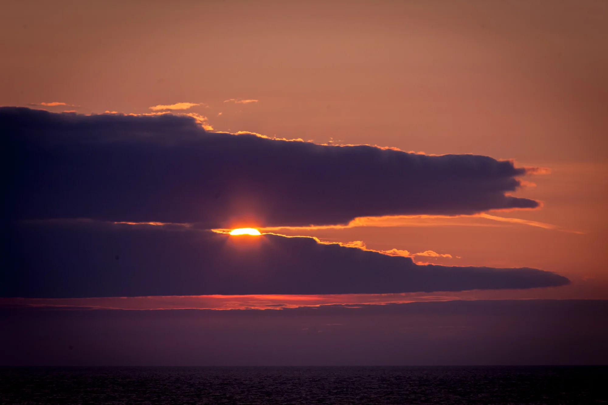 _MG_9860.jpg