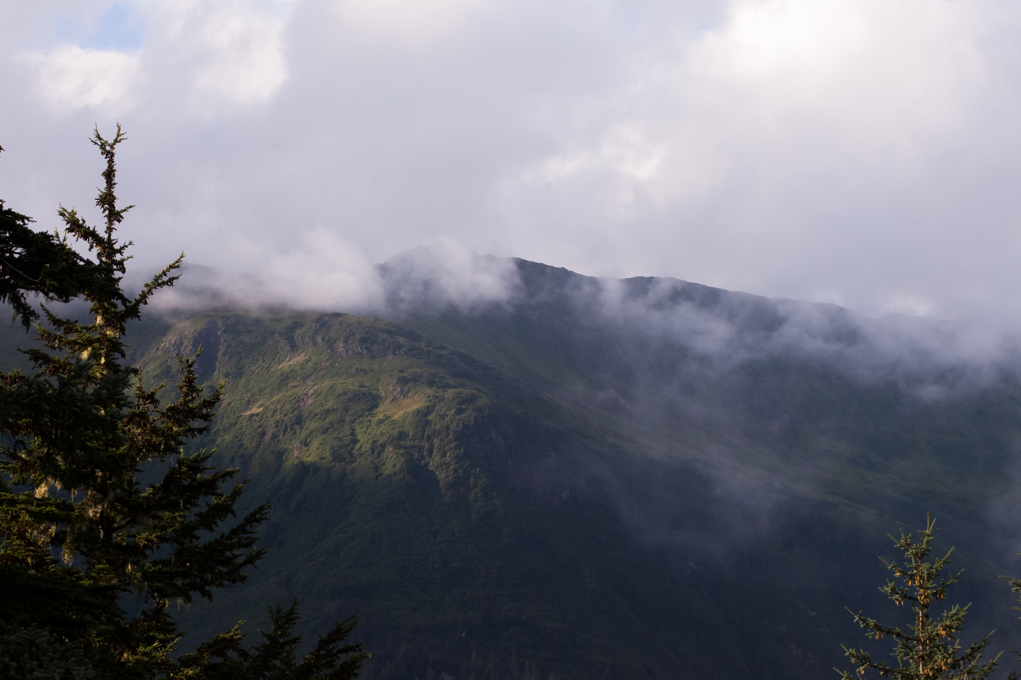 _MG_0252.jpg