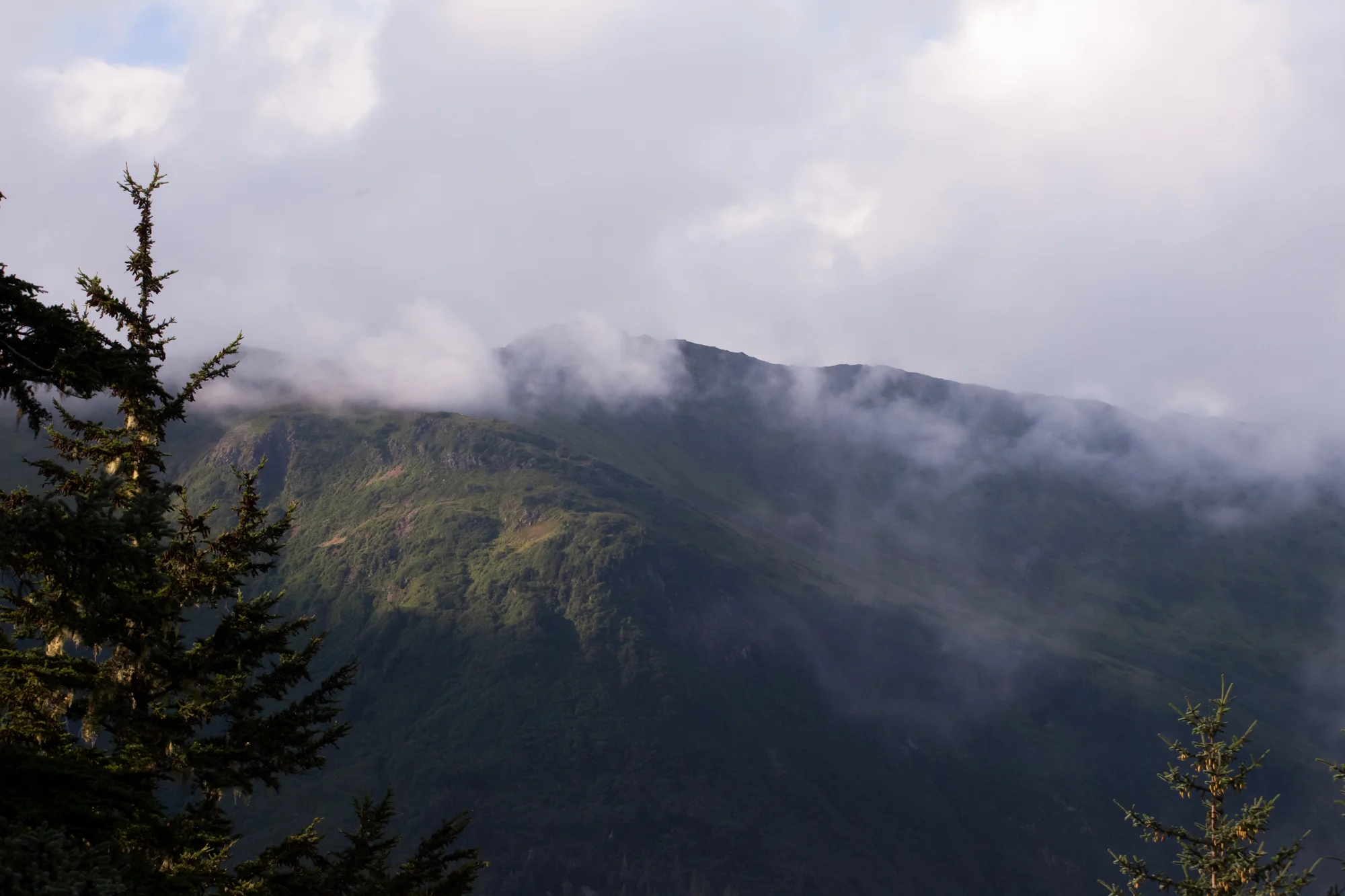 _MG_0252.jpg