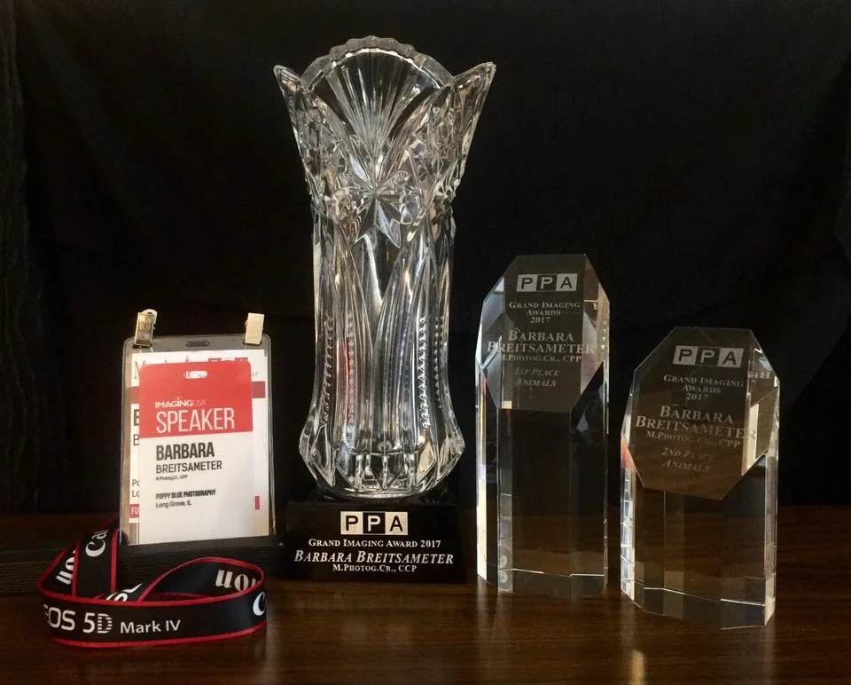 awardsGIA.jpg