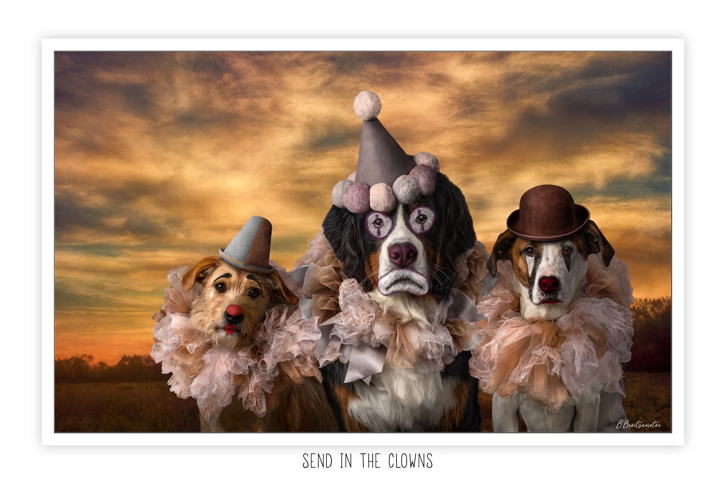 website_Send-in-the-clowns_barbara-breitsameter.jpg