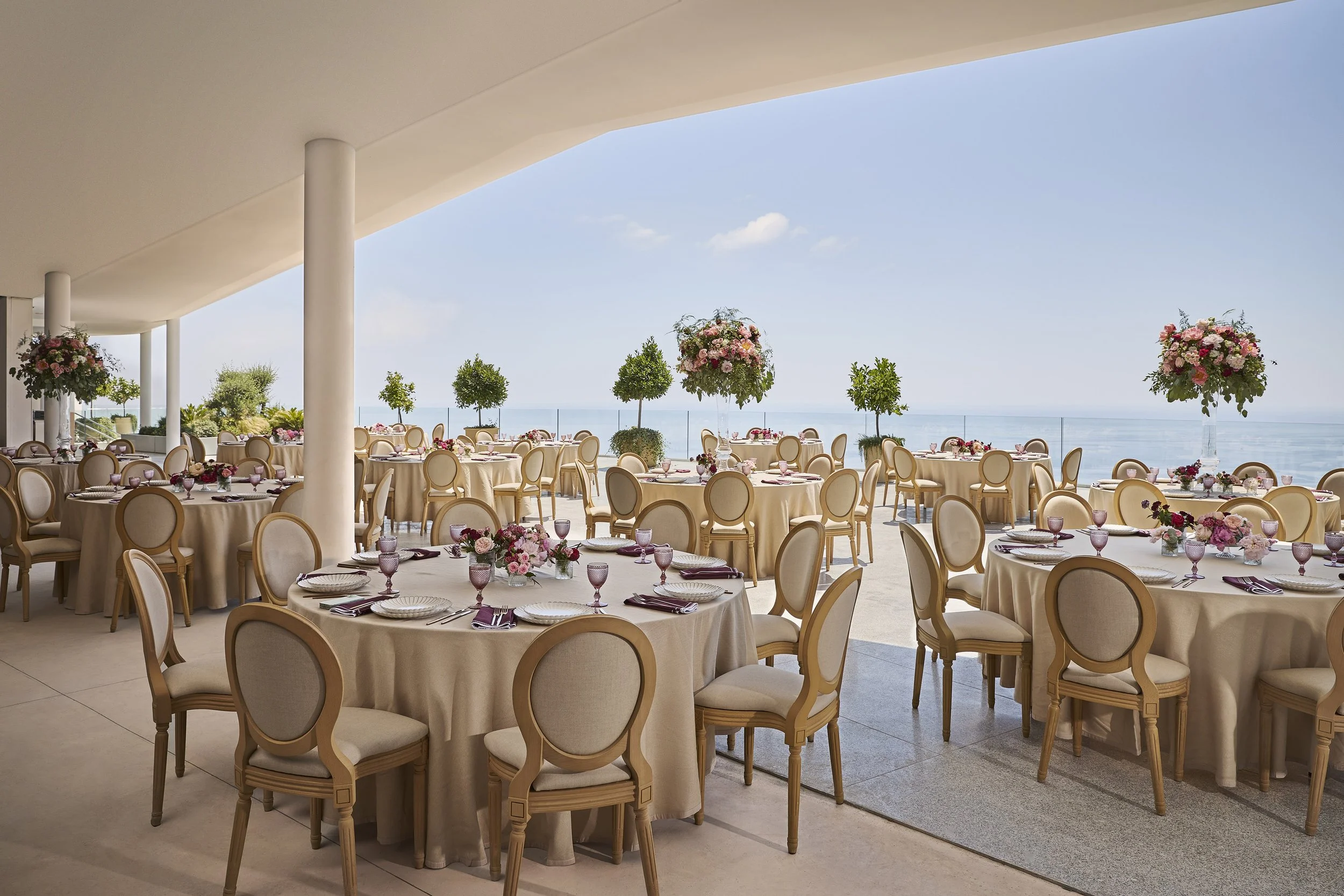 Social Occasion 3350 hero.jpg