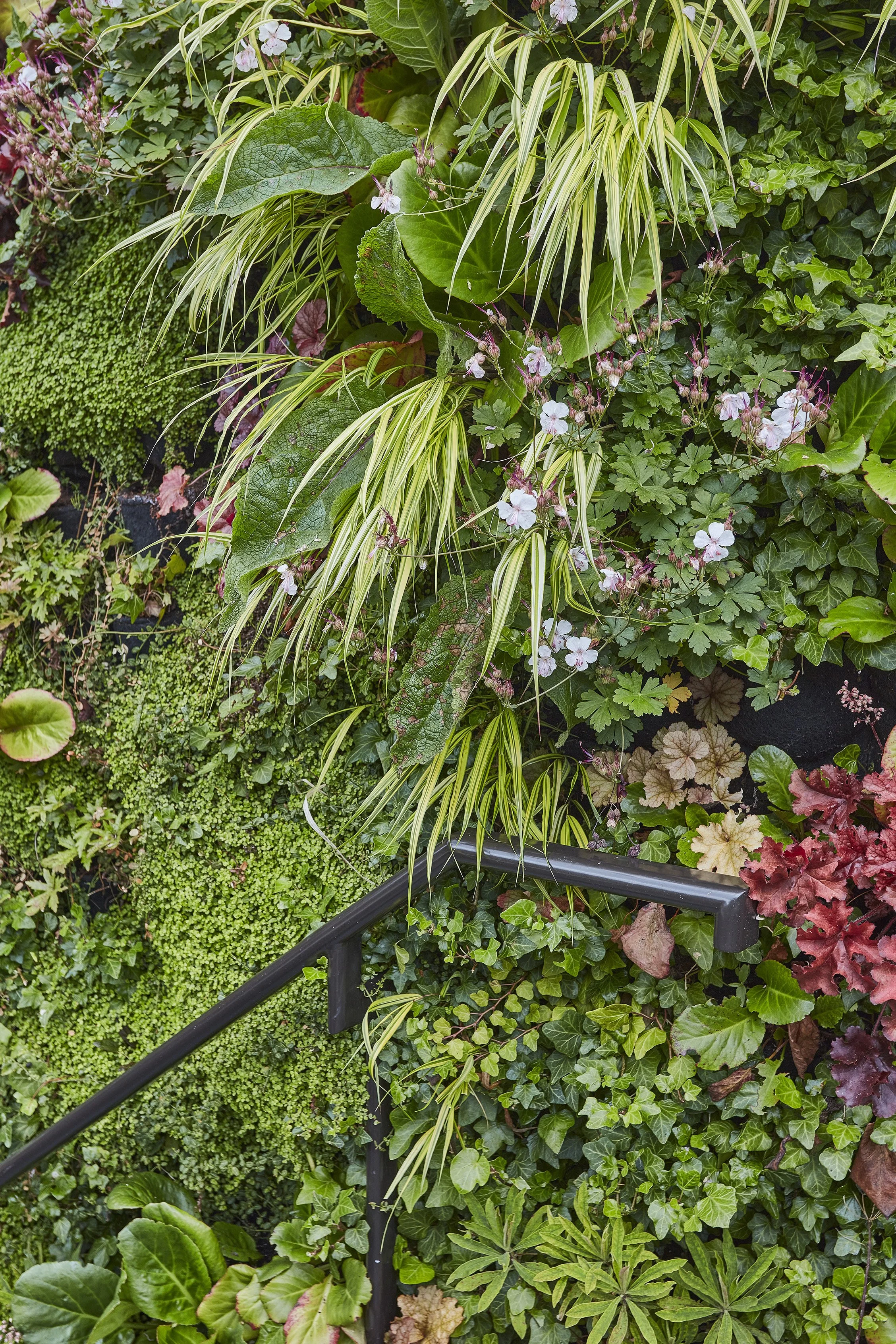 35 Baskerville rd  217.jpg