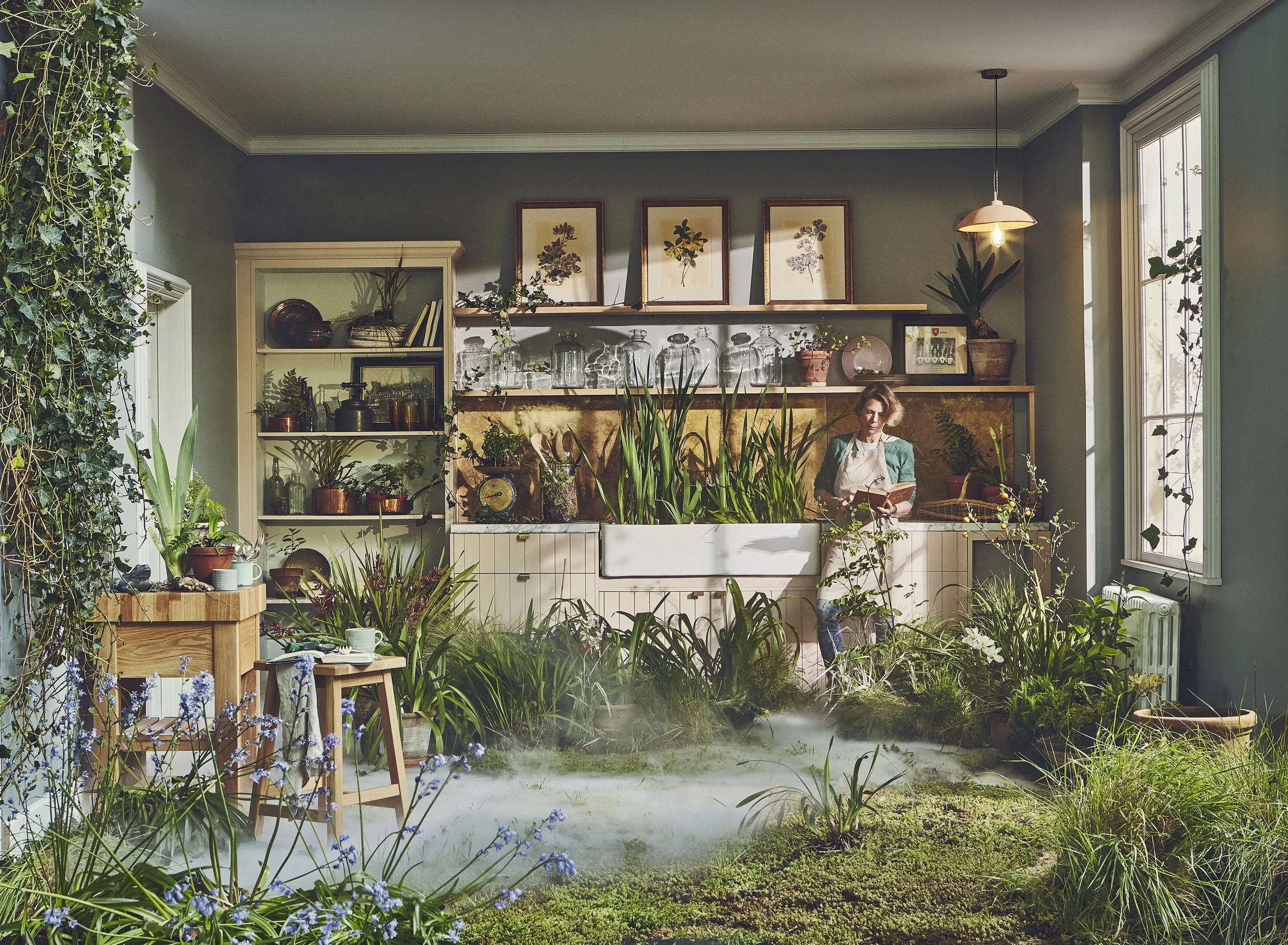 PLANT LIFE 577edited.jpg