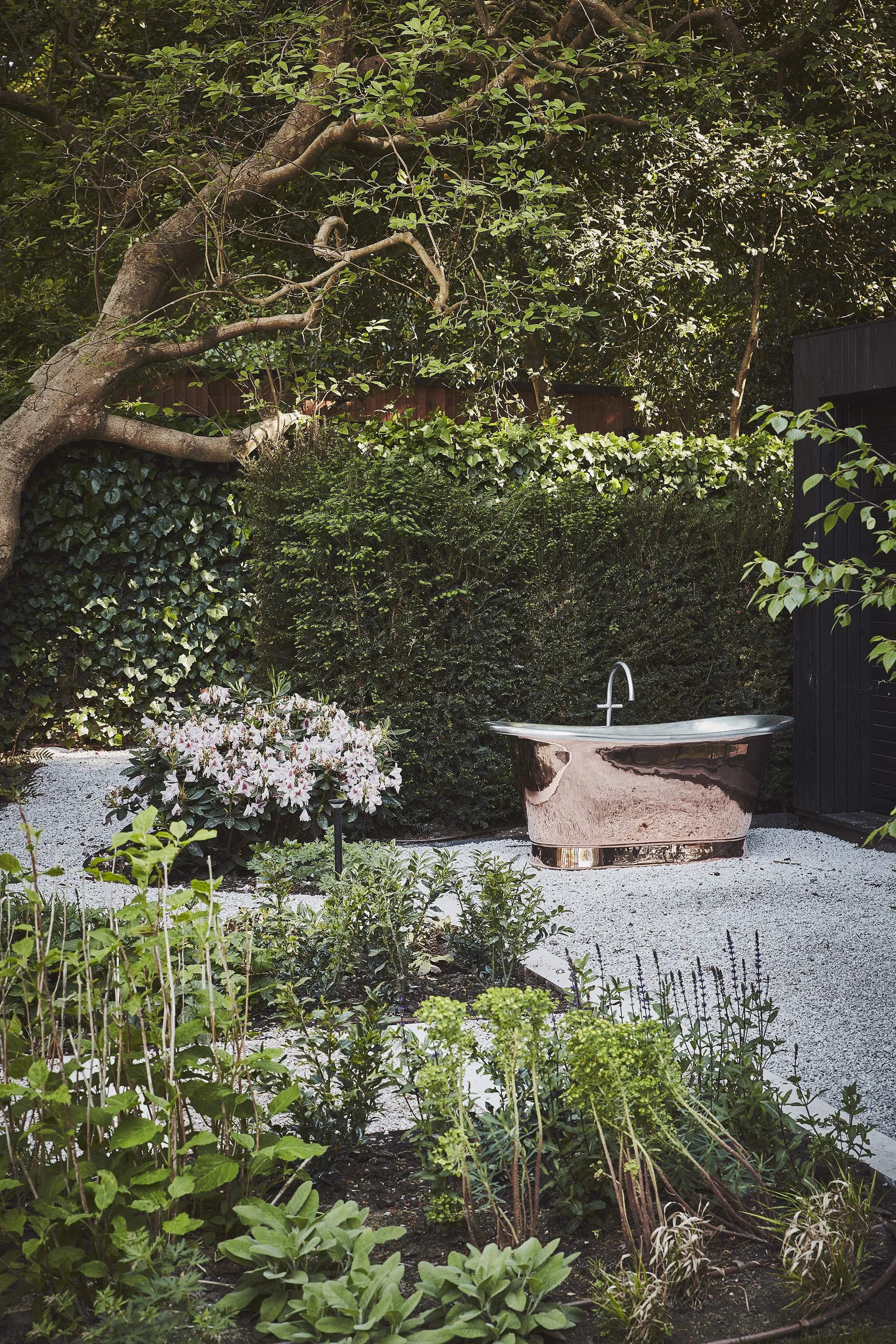 Sheen Common 247 v3.jpg