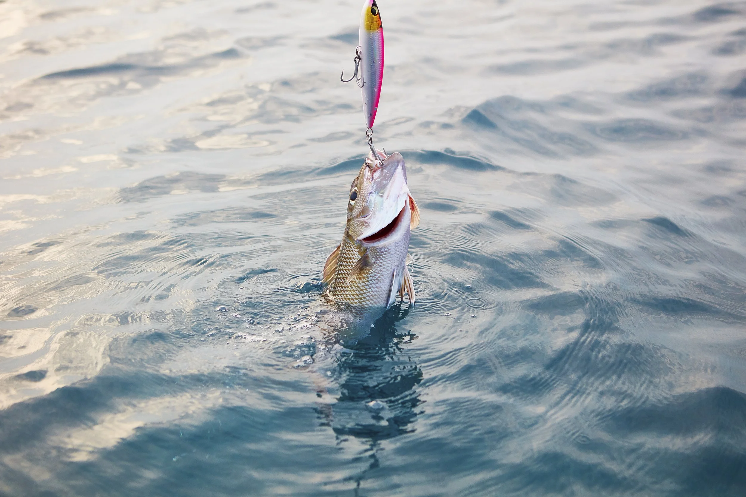 OO_ReethiRah_Fishing_7.jpg