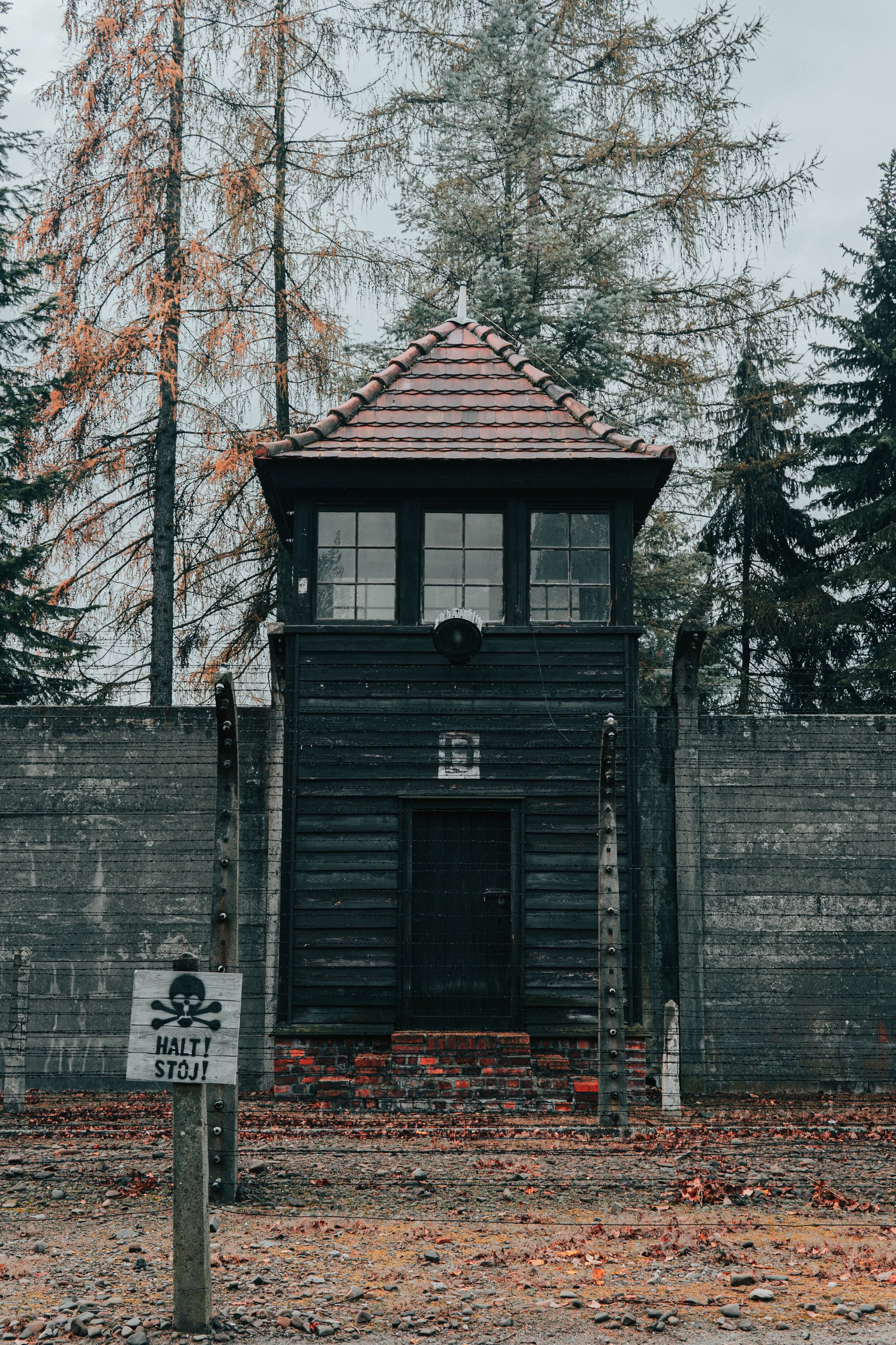 jean-carlo-emer-b8QorpVzlrs-unsplash.jpg
