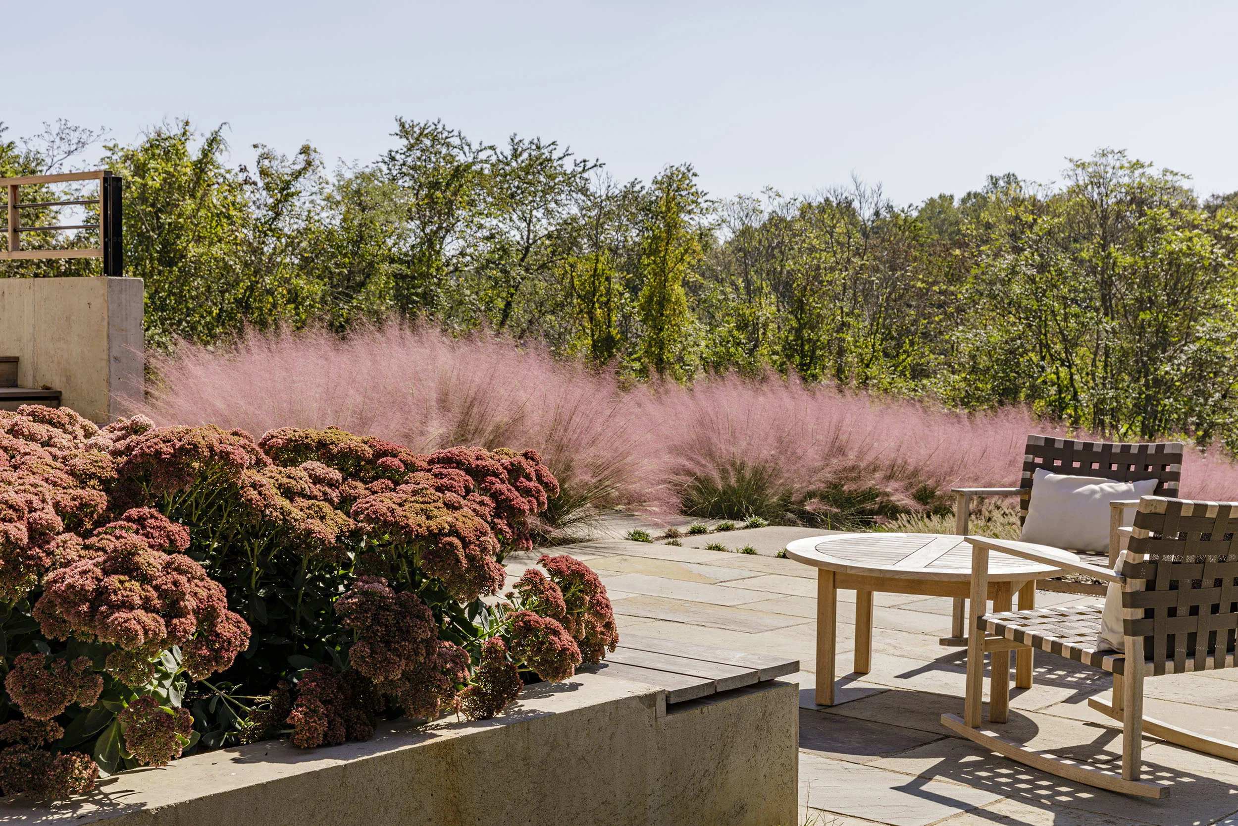 Grounded_muhly-grass_landscape-architecture-virginia_modern_terrace.jpg