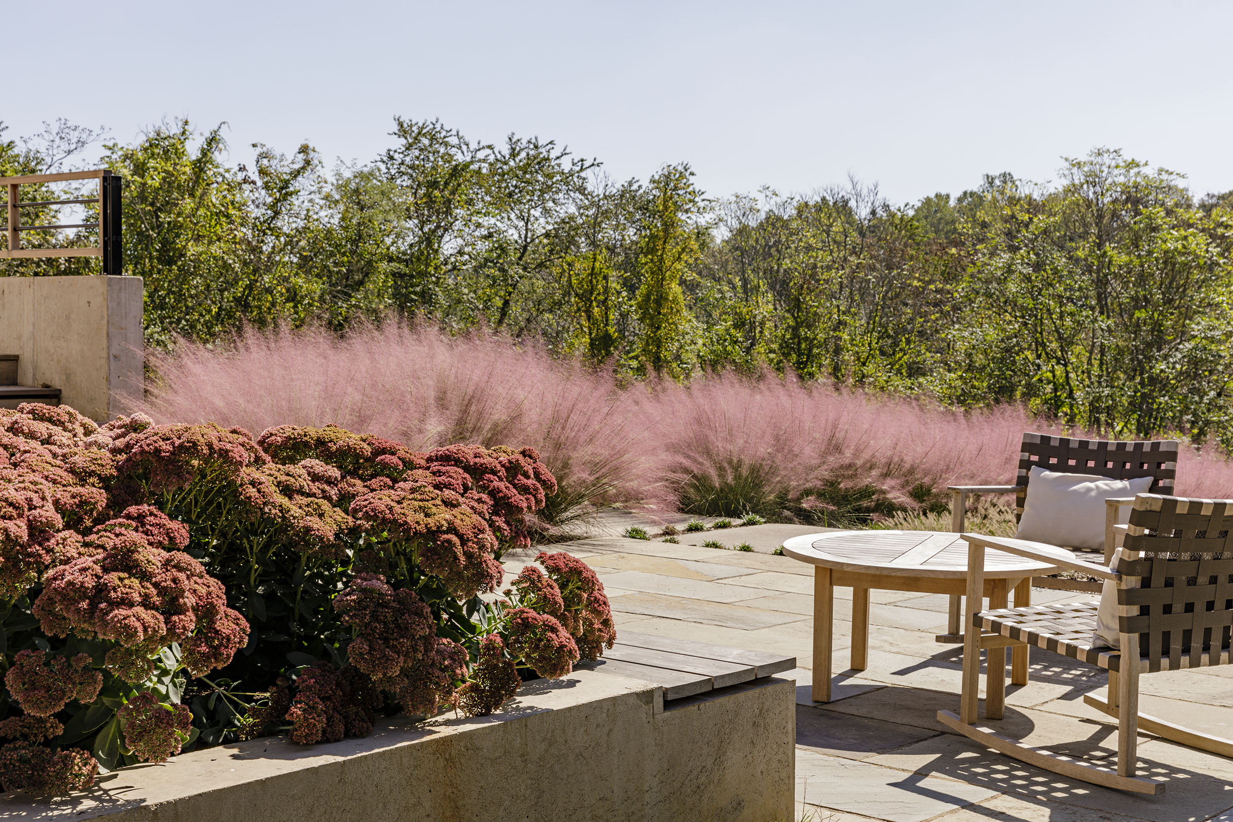 Grounded_muhly-grass_landscape-architecture-virginia_modern_terrace.jpg