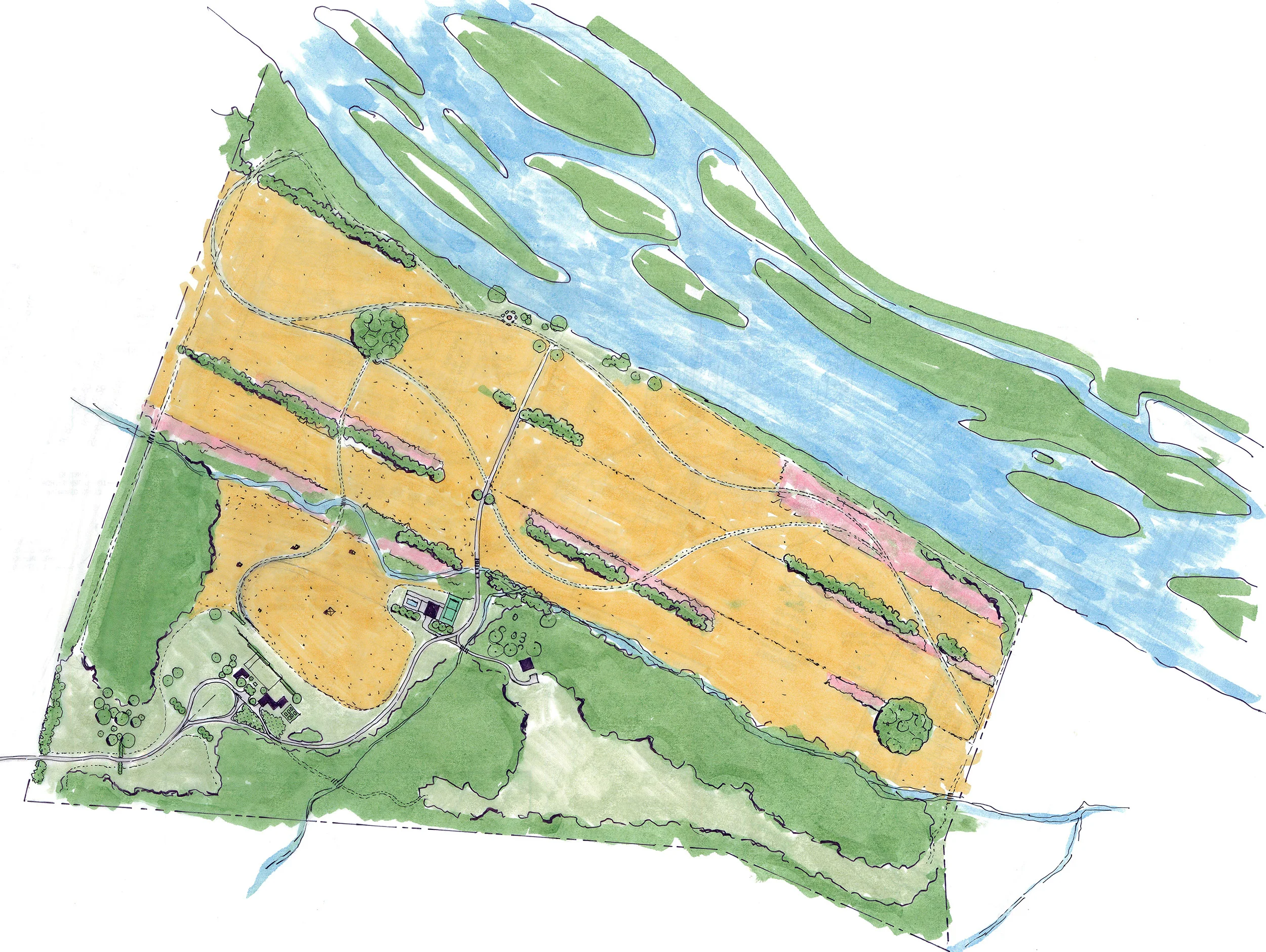 Option-2.jpg