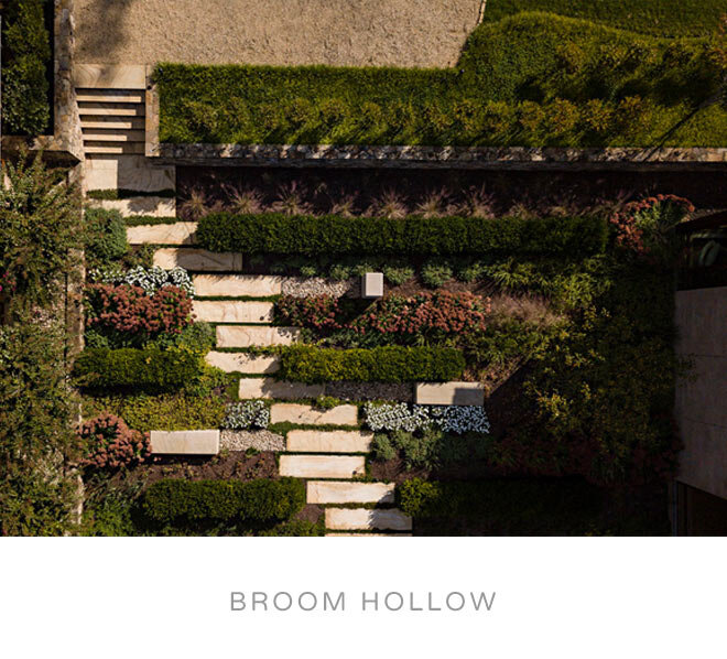 Broom-Hollow.jpg