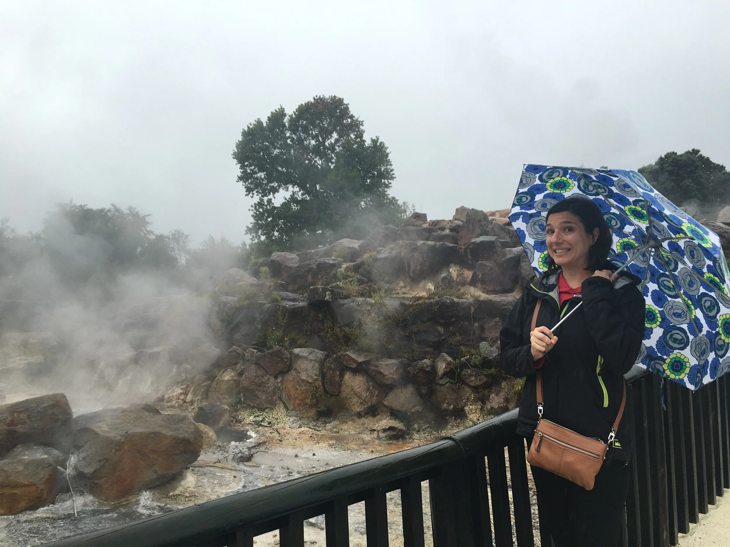 bubbling muddy sulphor-hotsprings in Rotorua