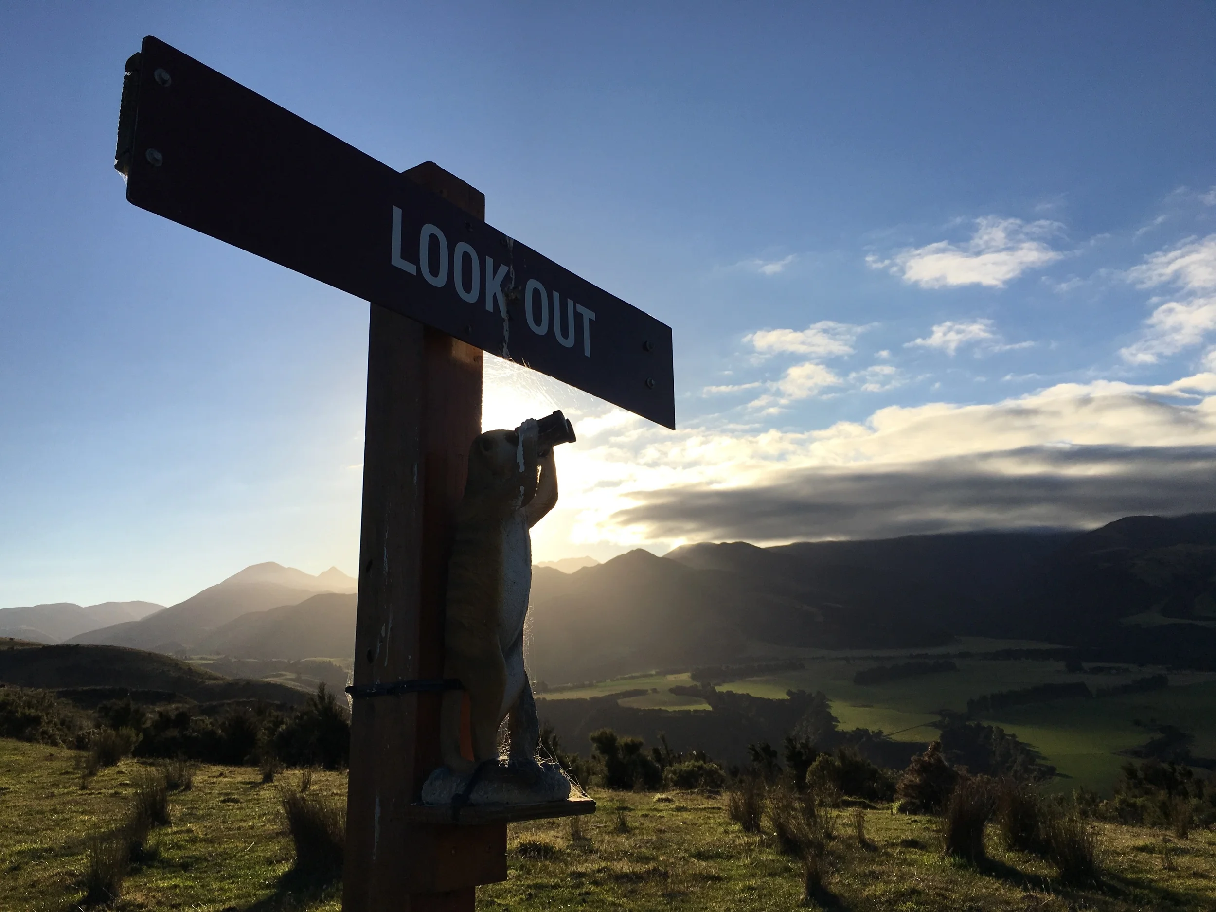 The Lookout delivers