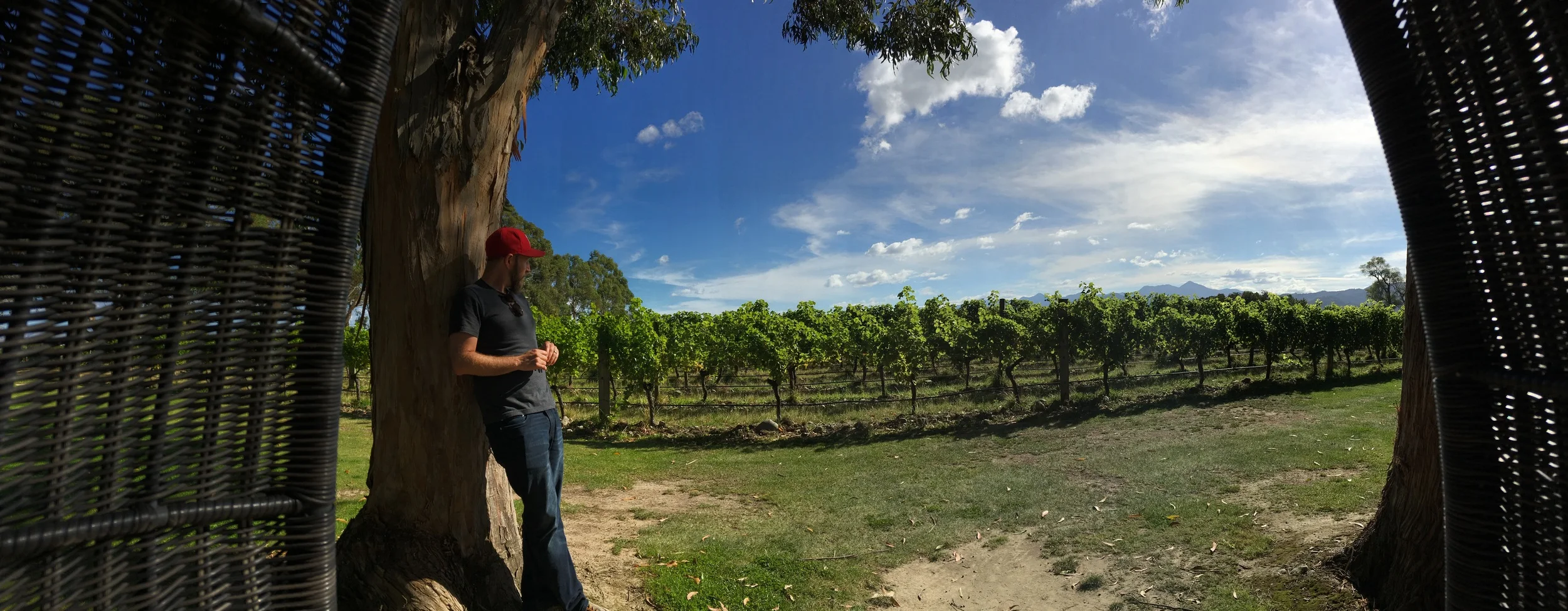 Hanging egg Basket with a View: Marborough Man