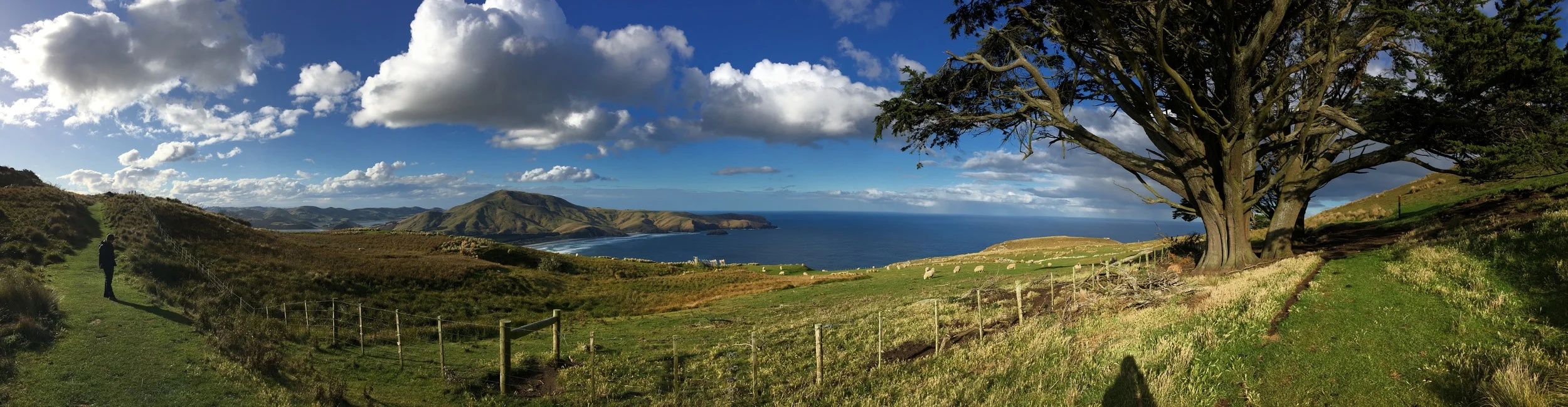 Walk out to the lookout points