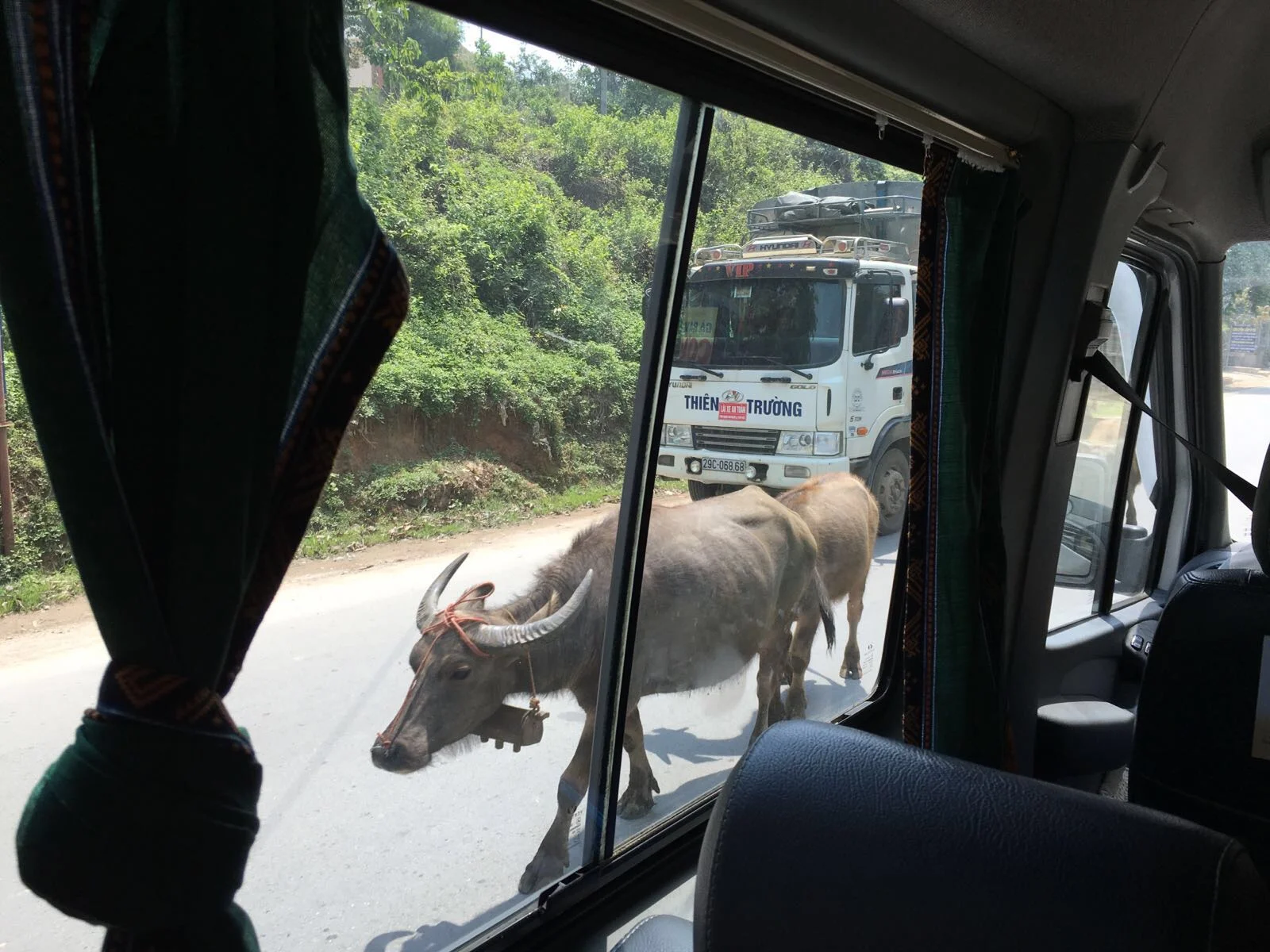 Sus snapped this photo from the van back to Hanoi