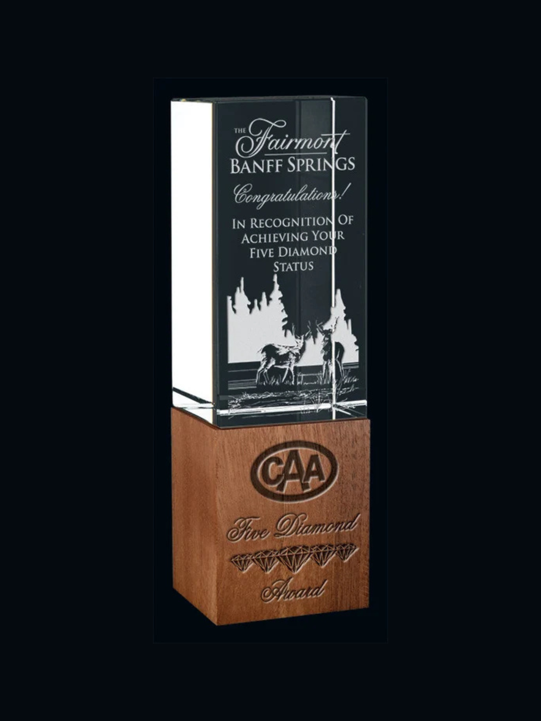 Inspire Award 7.5"  (Includes Engraving)