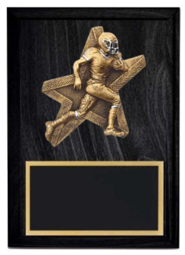 Pro Star Football Plaque- 2 Sizes (Includes Engraving)