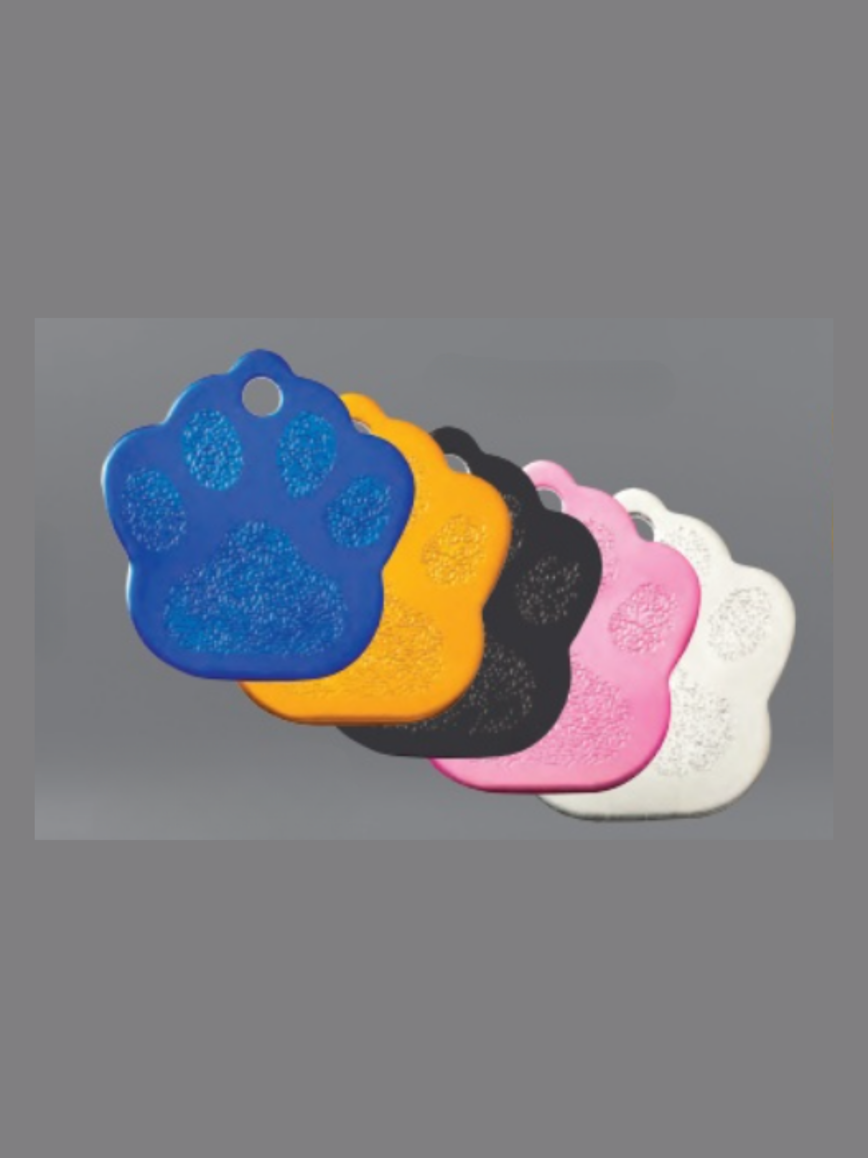 Untitled design - 2026-08-28T085845.397.png
