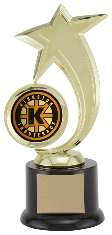 Star Spinner Generic 8" (Includes Engraving)