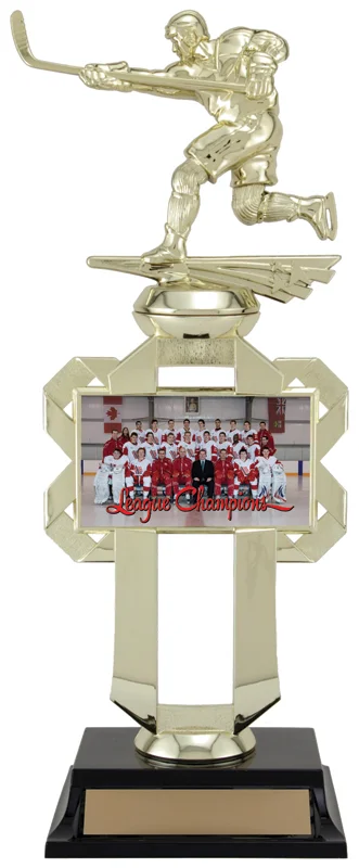 Mosaic Plate Holder Generic 13" (Includes Engraving & Team Photo)